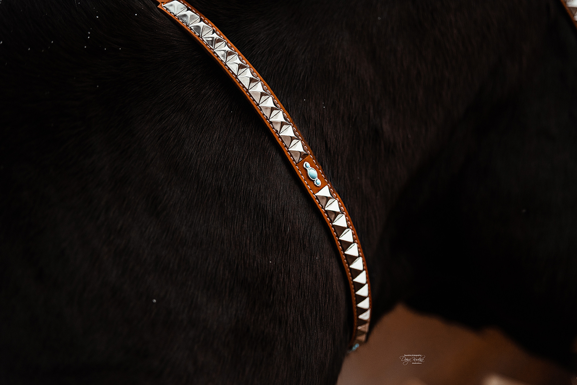 Рапунцель и Куна. Конный фотограф Куракина Дарья • Фотосессии с лошадьми