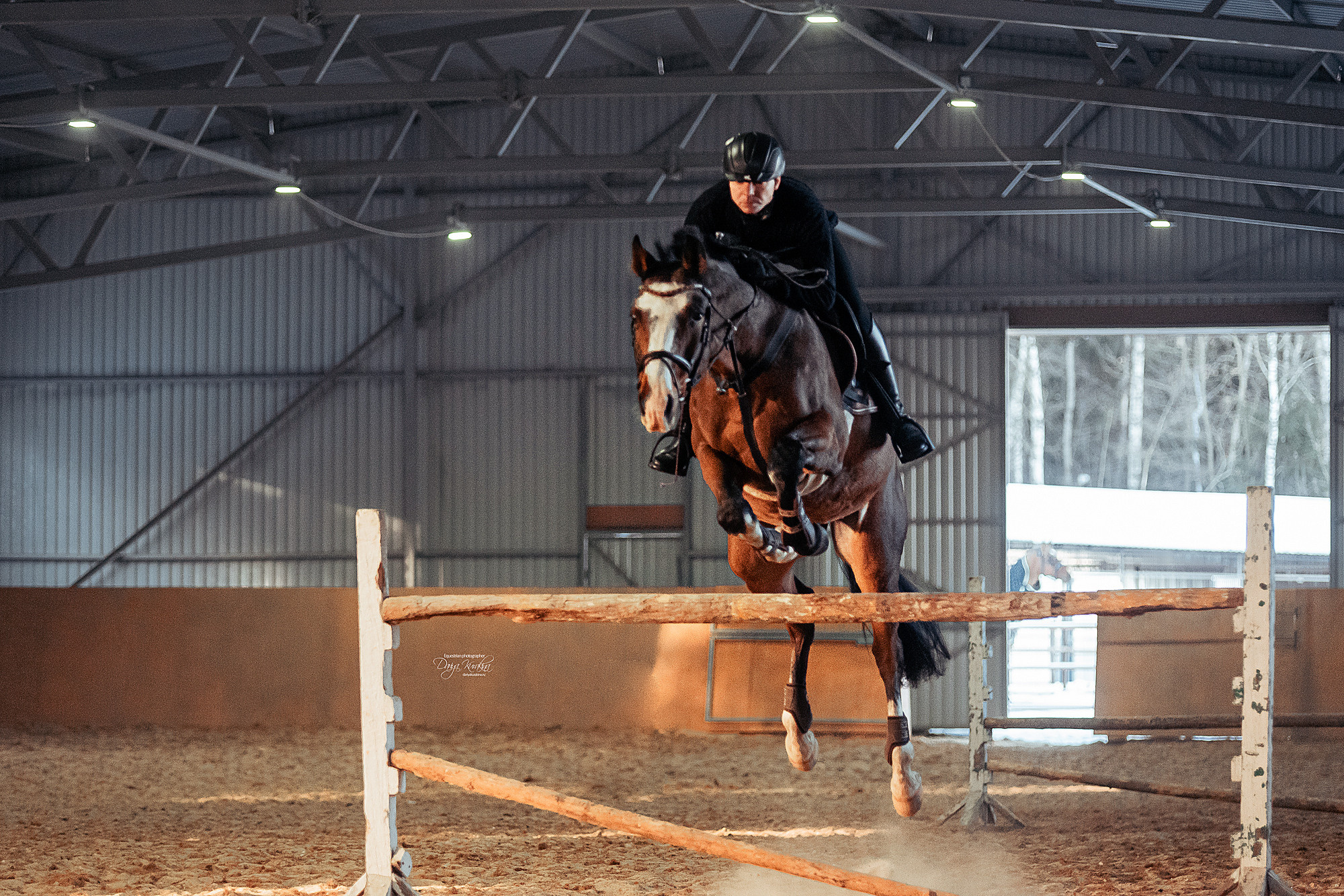 Головинка. Конный фотограф Куракина Дарья • Фотосессии с лошадьми