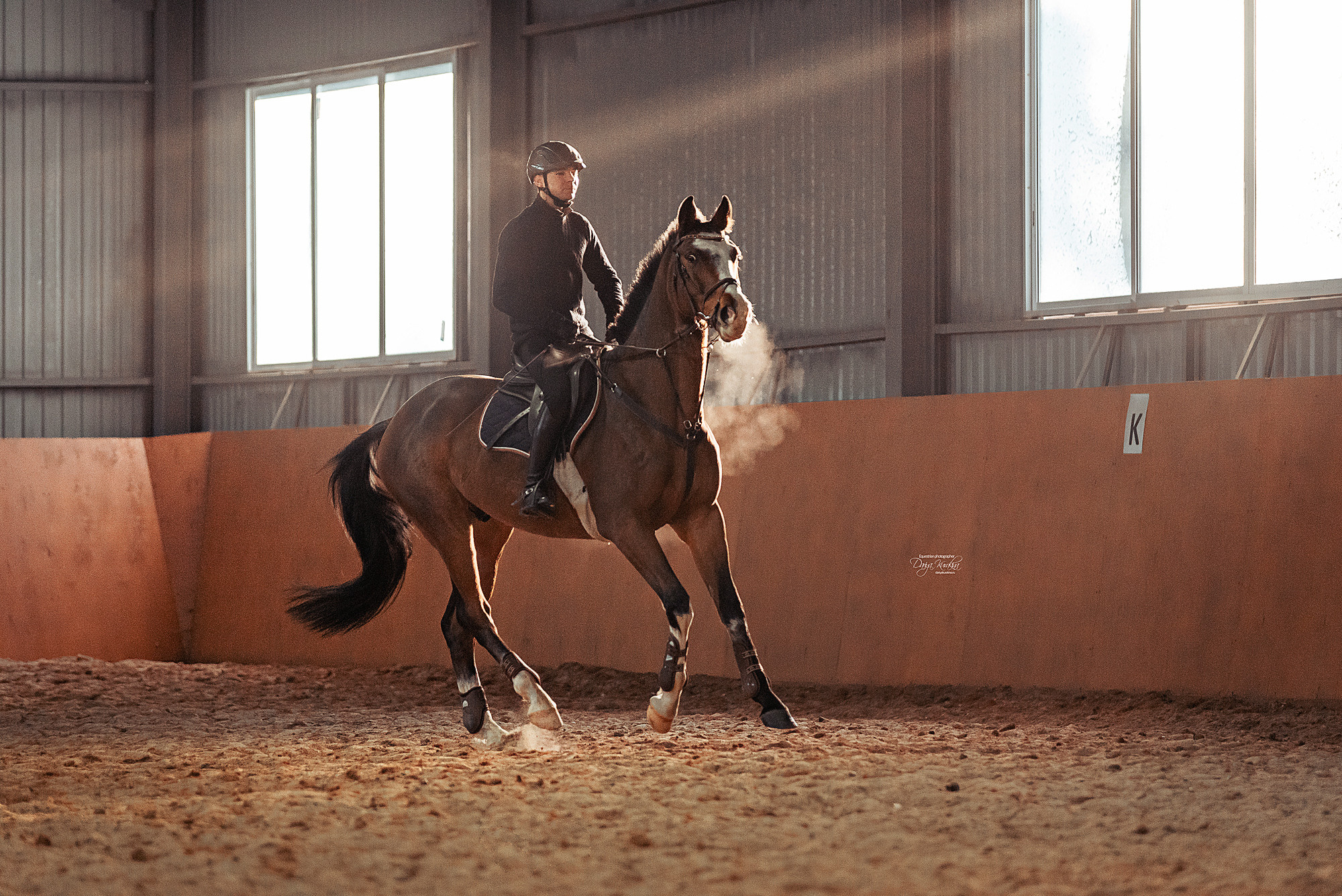 Головинка. Конный фотограф Куракина Дарья • Фотосессии с лошадьми