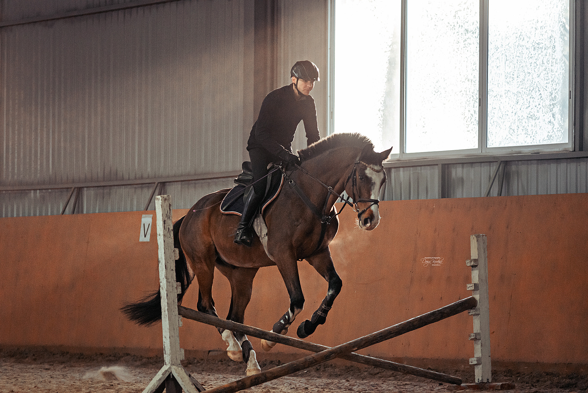 Головинка. Конный фотограф Куракина Дарья • Фотосессии с лошадьми