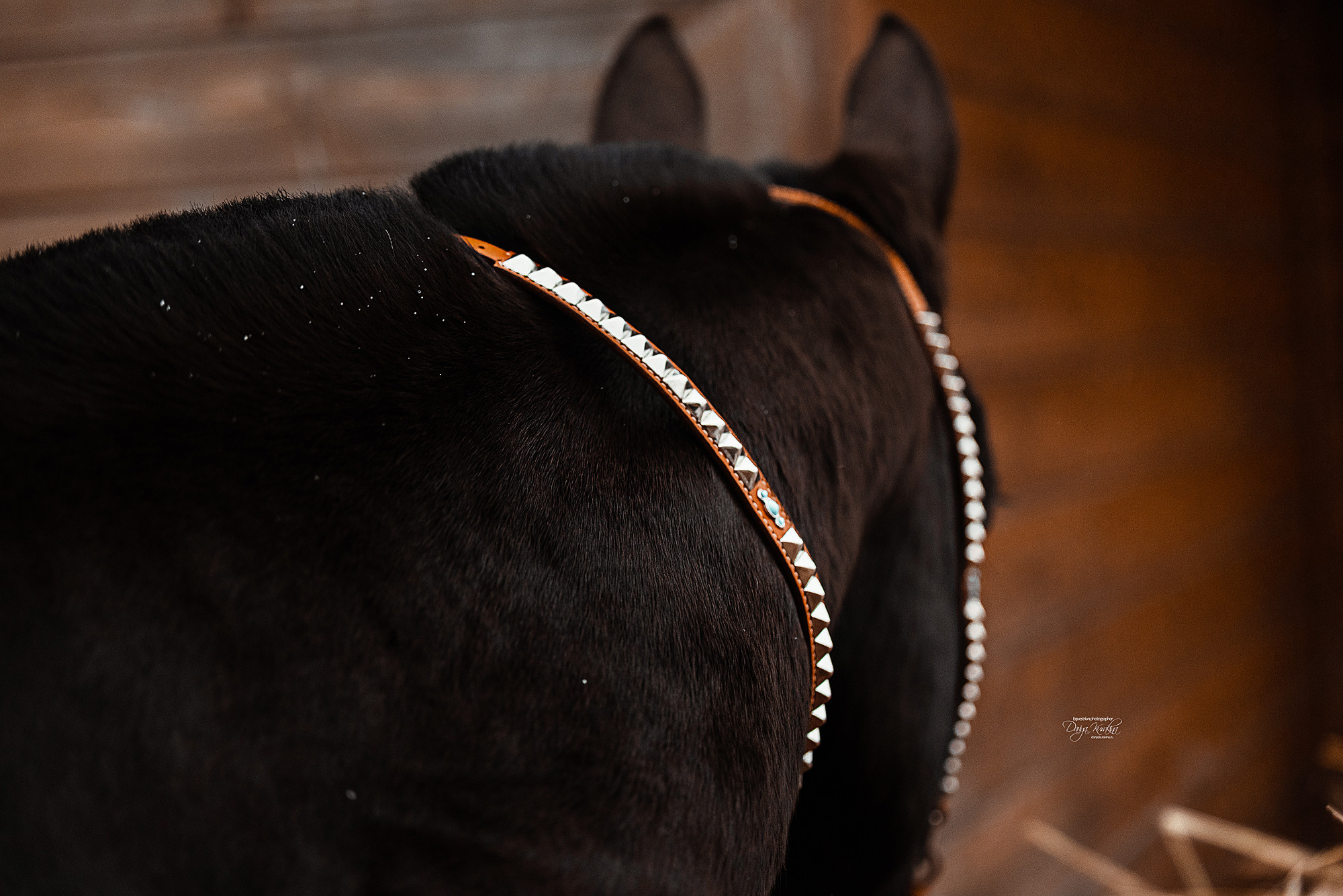 Рапунцель и Куна. Конный фотограф Куракина Дарья • Фотосессии с лошадьми