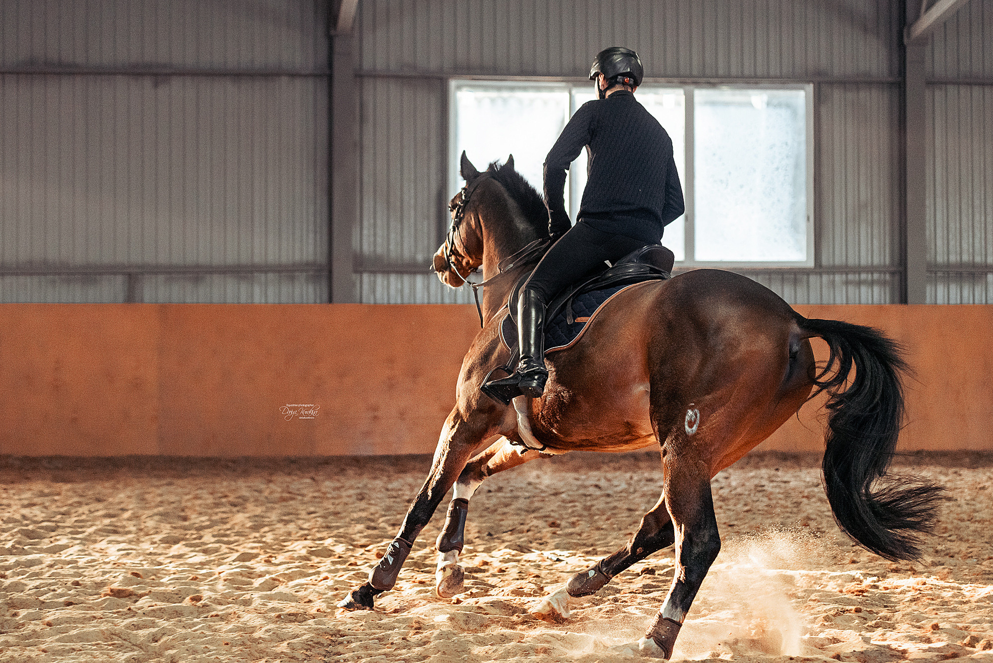 Головинка. Конный фотограф Куракина Дарья • Фотосессии с лошадьми