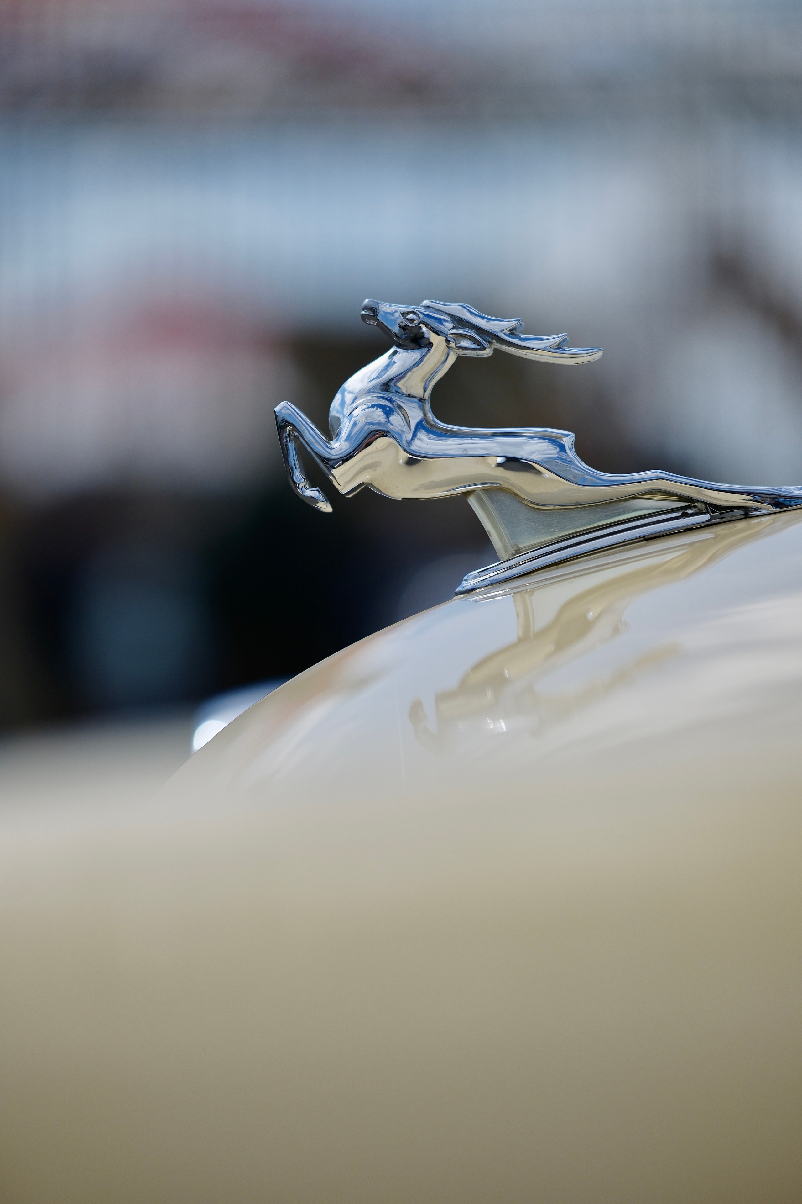 Ралли, РАФ, кубок по ралли, Москва, автогонки, автомобильный фотограф, фотограф Антон Медведев, icoguar