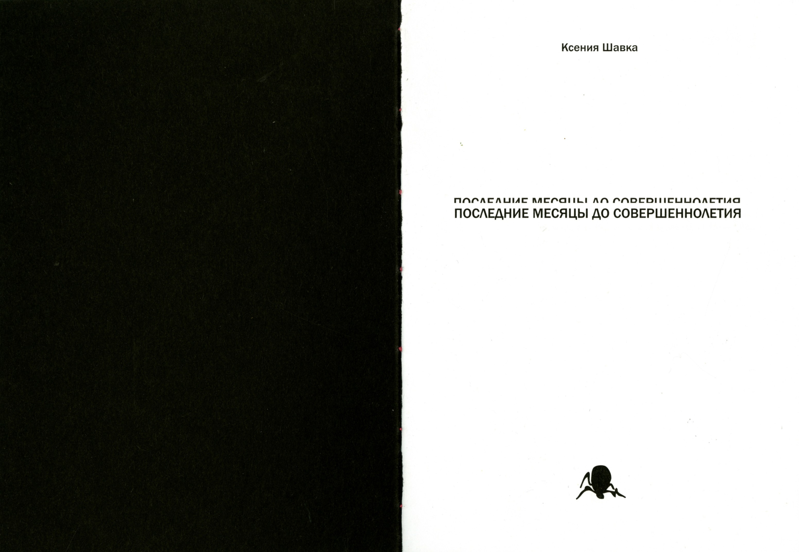 ПОСЛЕДНИЕ МЕСЯЦЫ ДО СОВЕРШЕННОЛЕТИЯ. Кирилл Грибов, современный художник из Москвы