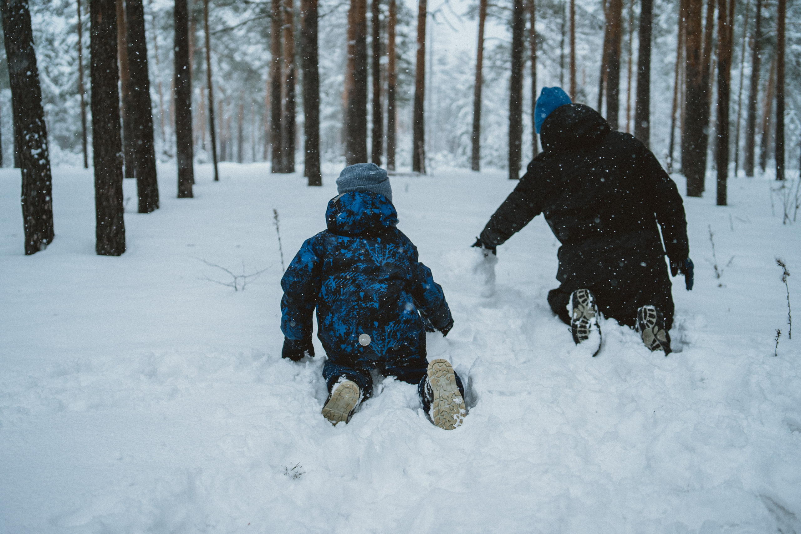 Зимняя прогулка
