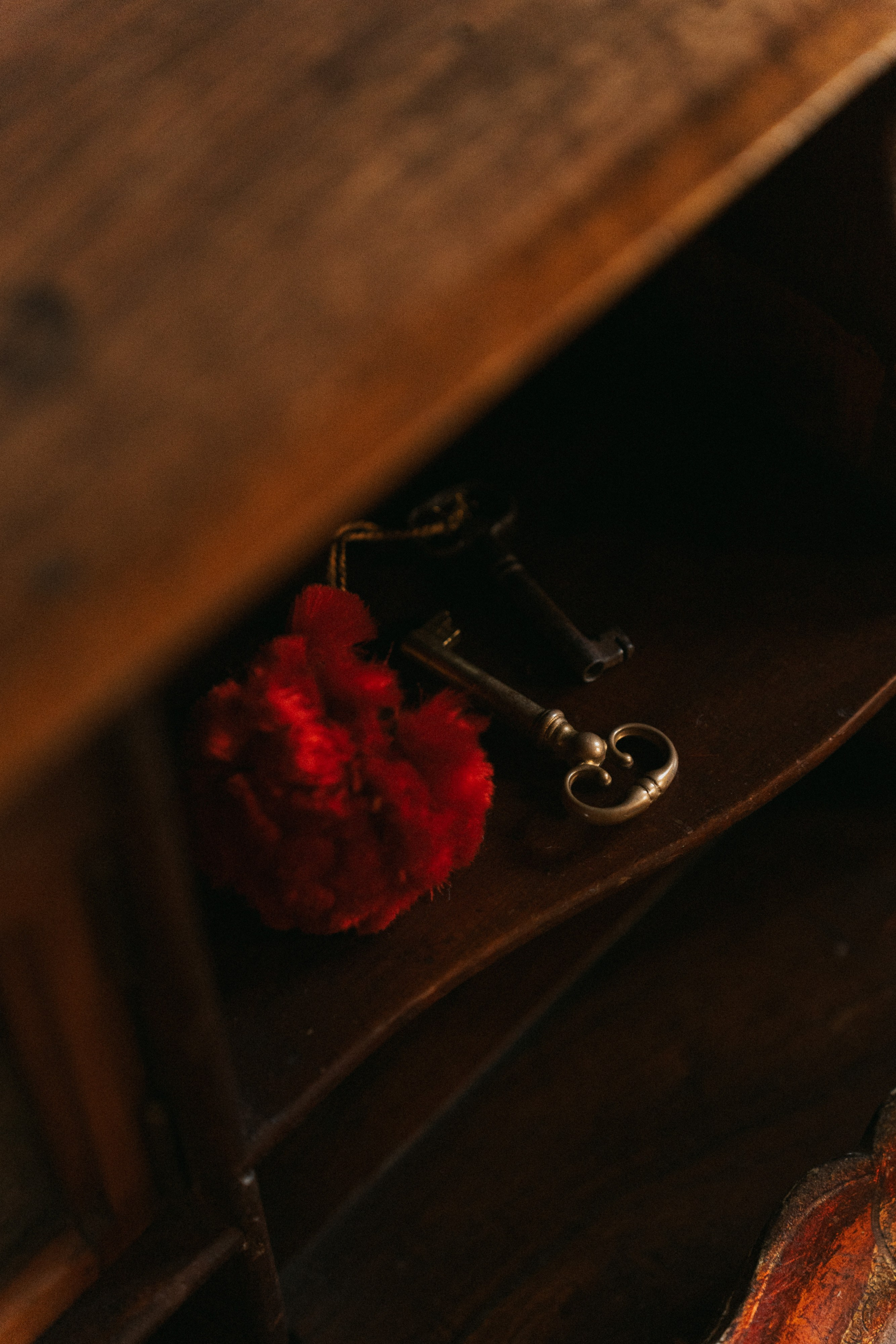 Dimora Almayer | Genoa