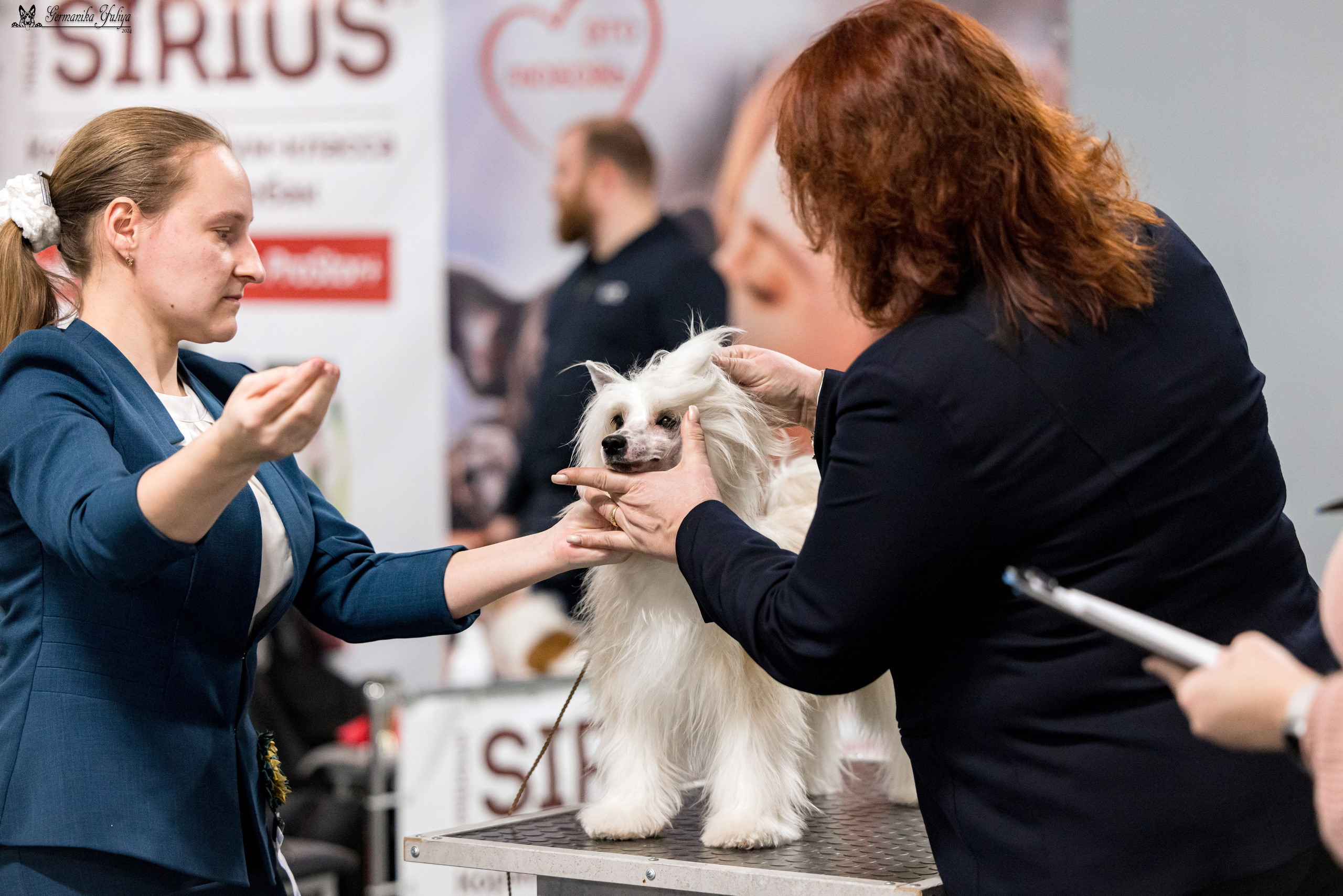 Сфера 28.01. и 4.02.2024. Фотограф-анималист Юлия Германика