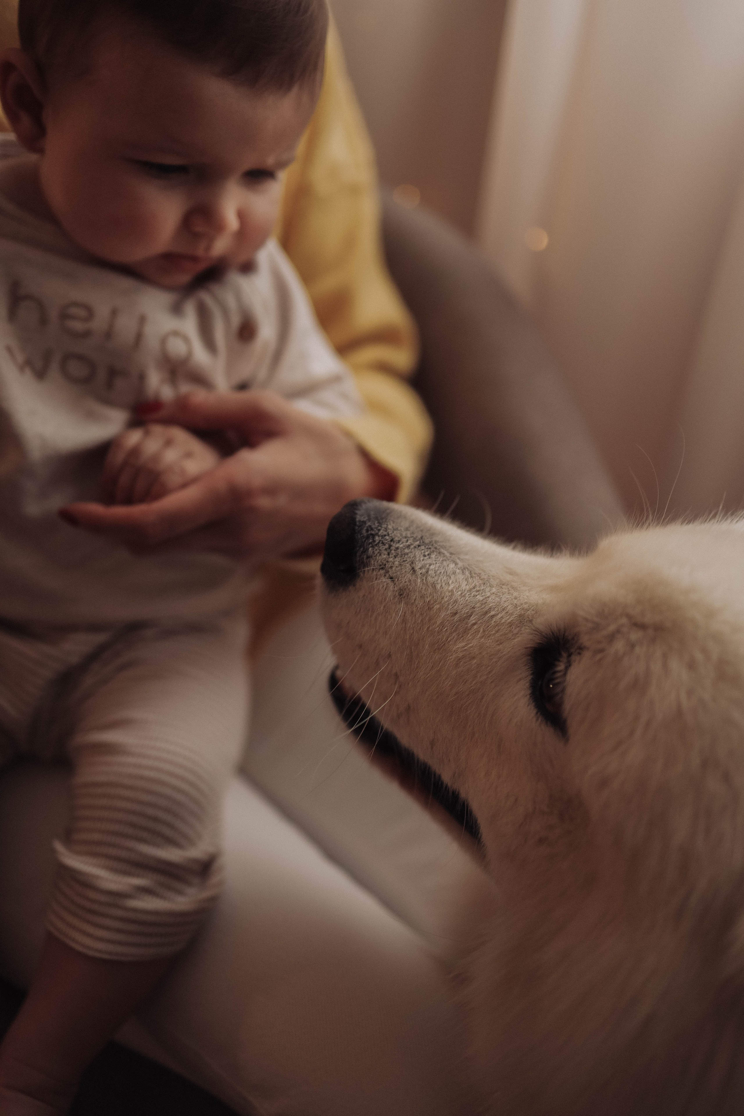 О семейном счатье. Марина Мужиченкова. Семейная и детская фотосъёмка в Москве