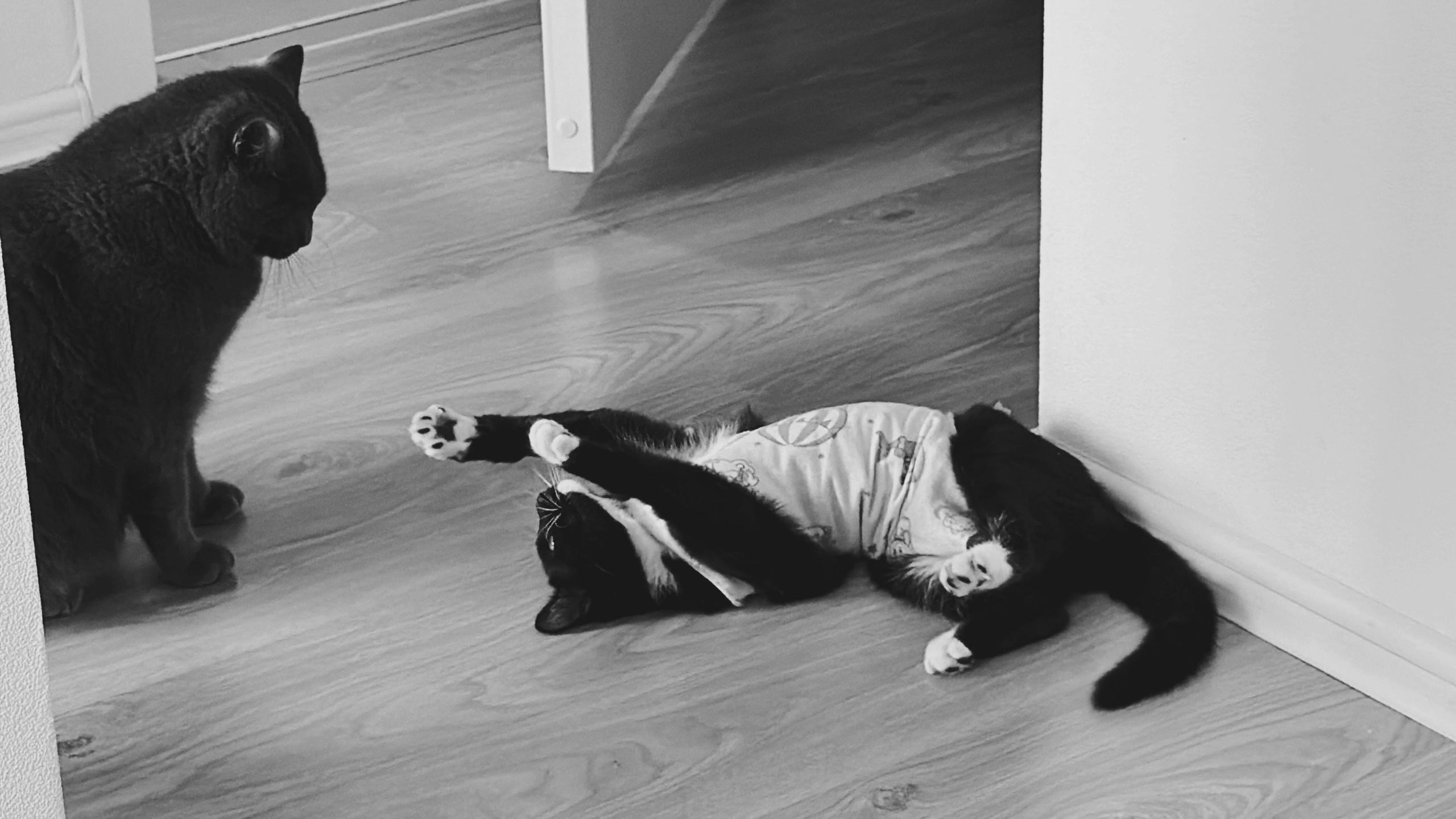 Визуальный дневник. Портретный фотограф в Москве Гахраманова Екатерина