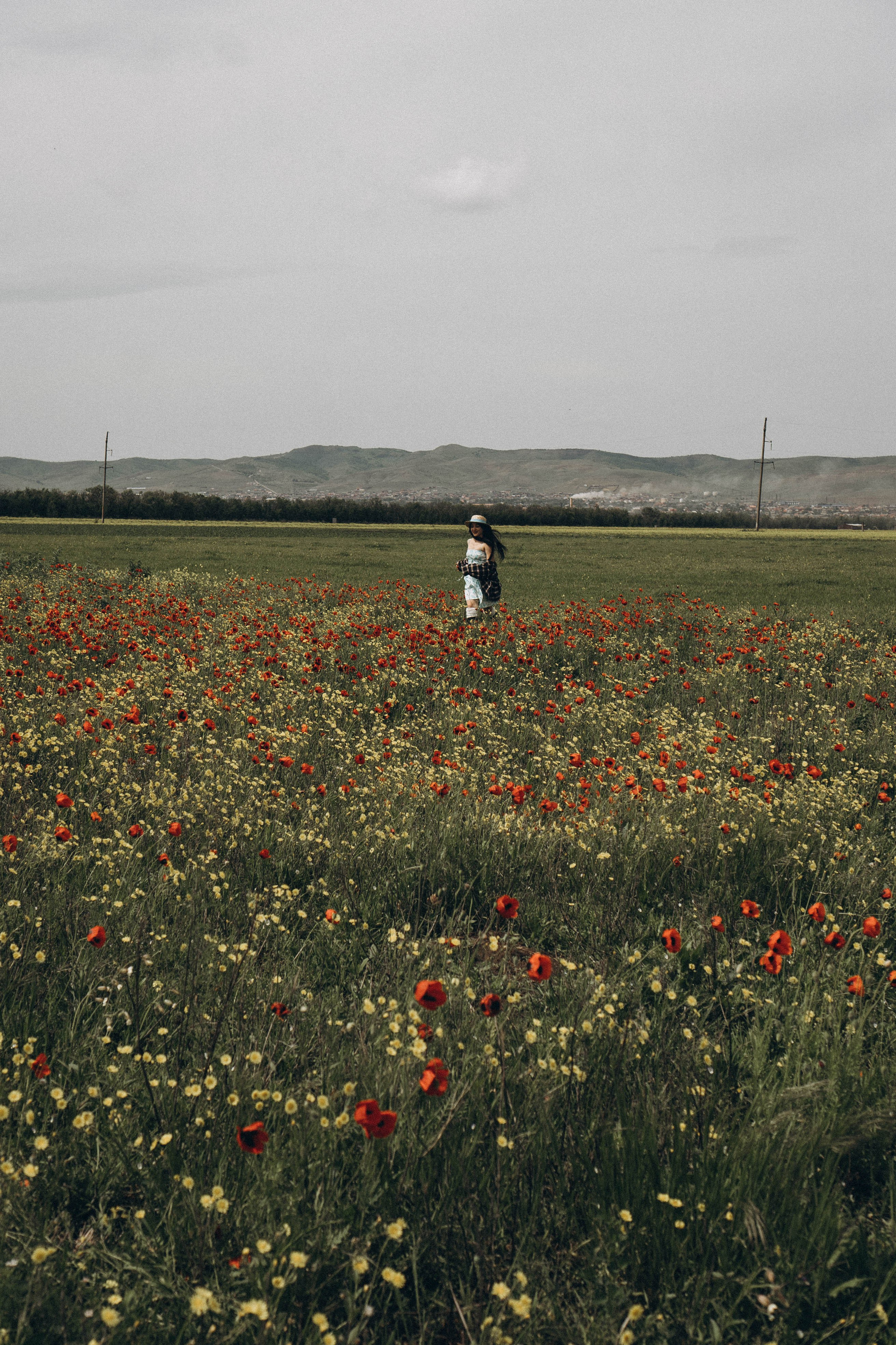 Цветочная поляна. Профессиональный фотограф, Санкт-Петербург — Виктория Богомолова