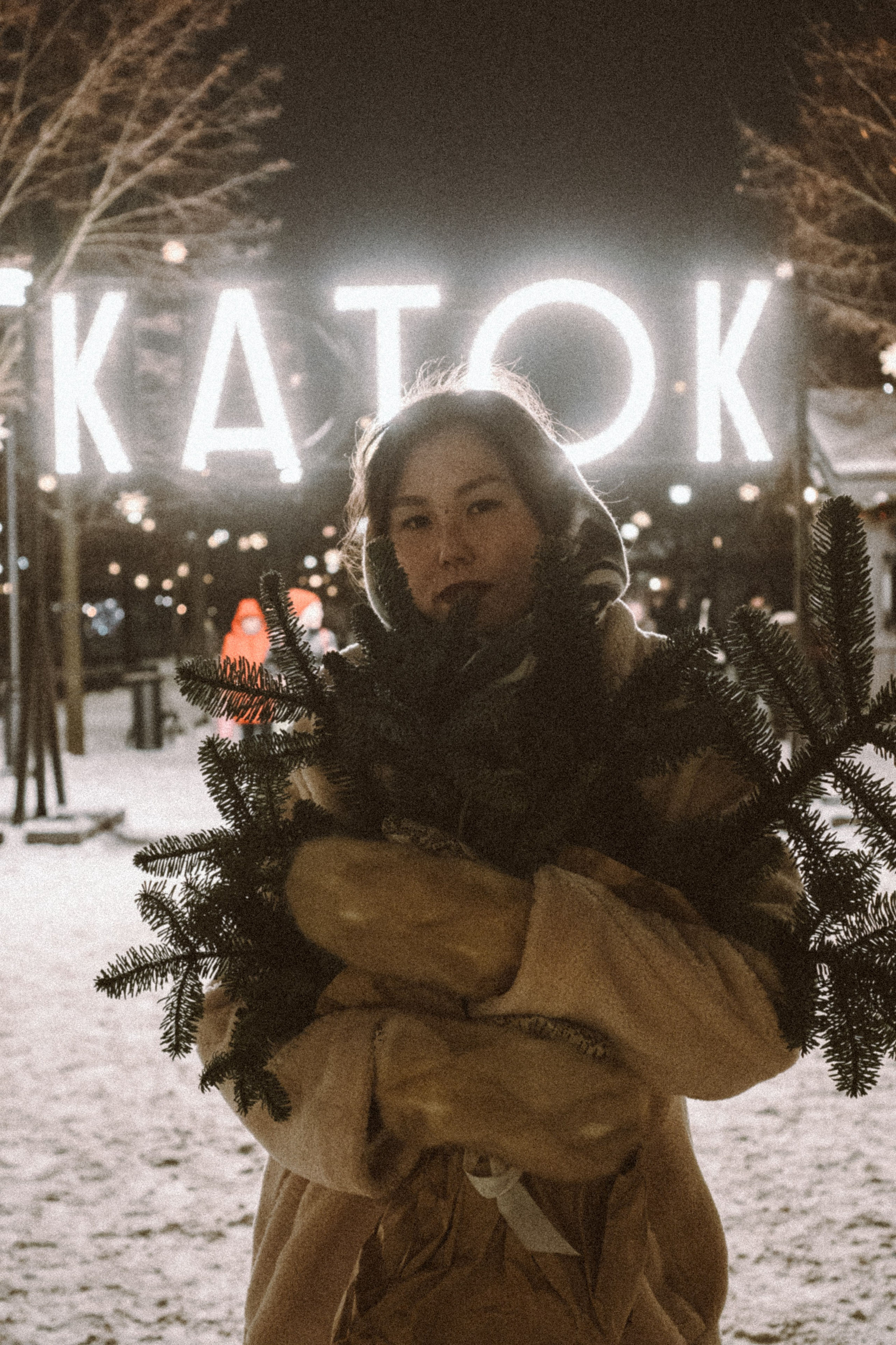 Зимняя сказка в Новой Голандии. Профессиональный фотограф, Санкт-Петербург — Виктория Богомолова