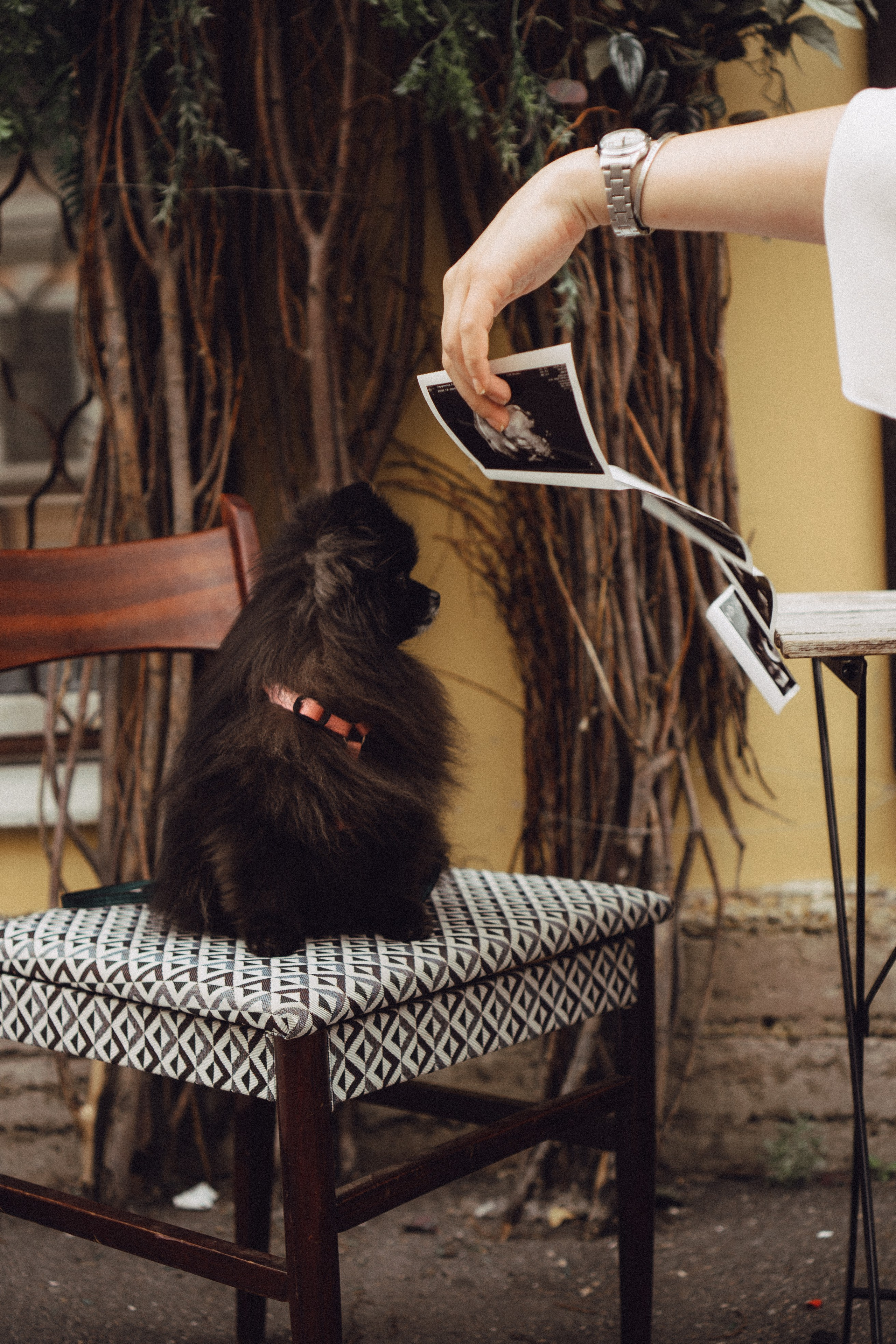 Беременность (только часть фото по желанию клиентов могу показать)). Профессиональный фотограф, Санкт-Петербург — Виктория Богомолова