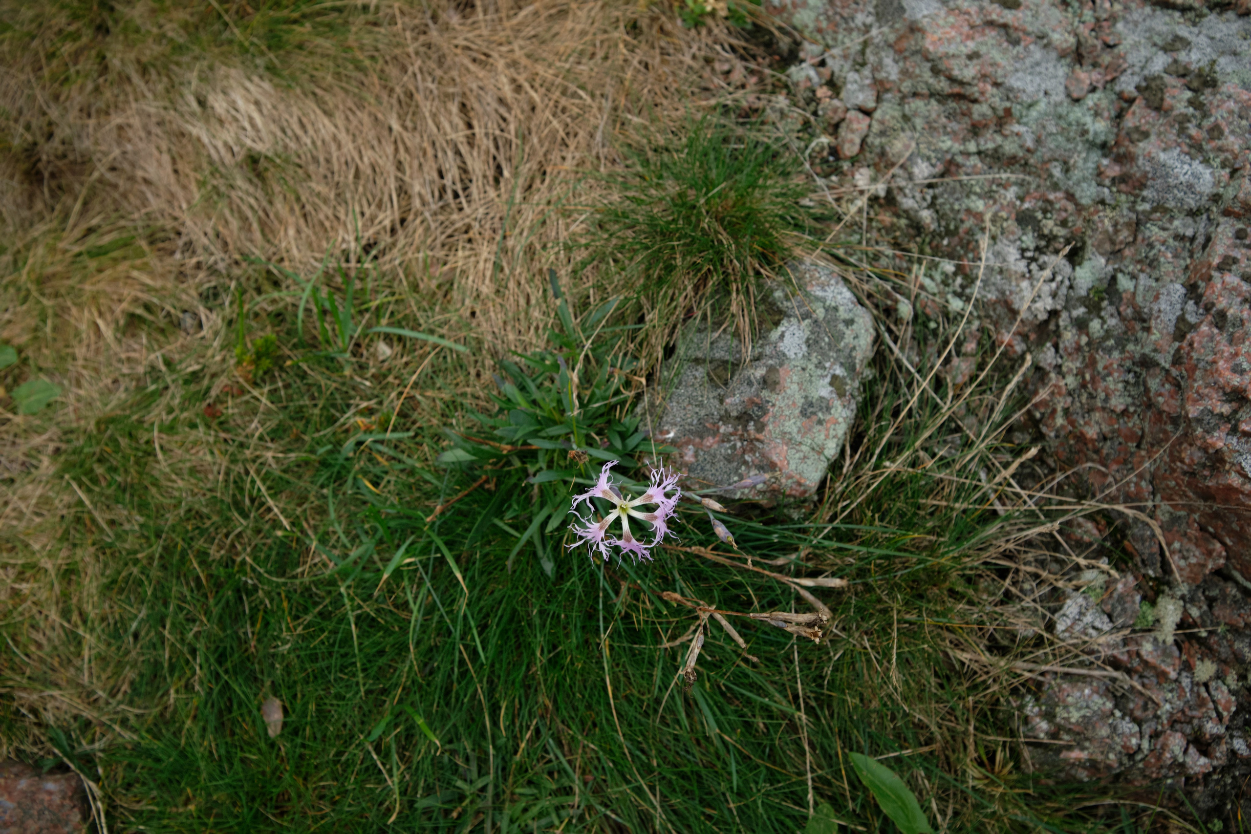Путешествие в Териберку. Елена Павленко. Фотограф. Москва