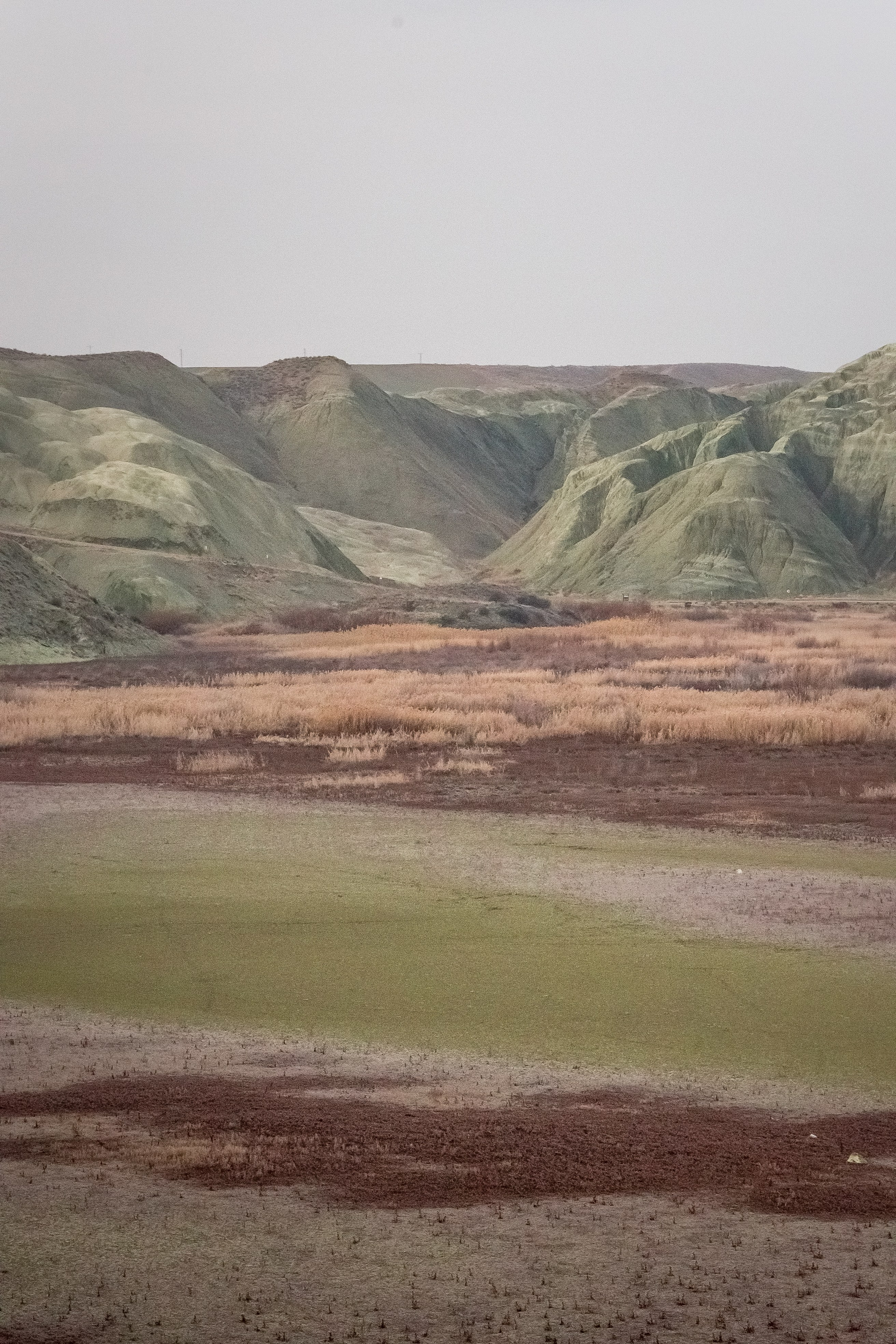 Турция, Птичий заповедник Наллихан. Юля Дэй • Фотограф, Санкт-Петербург