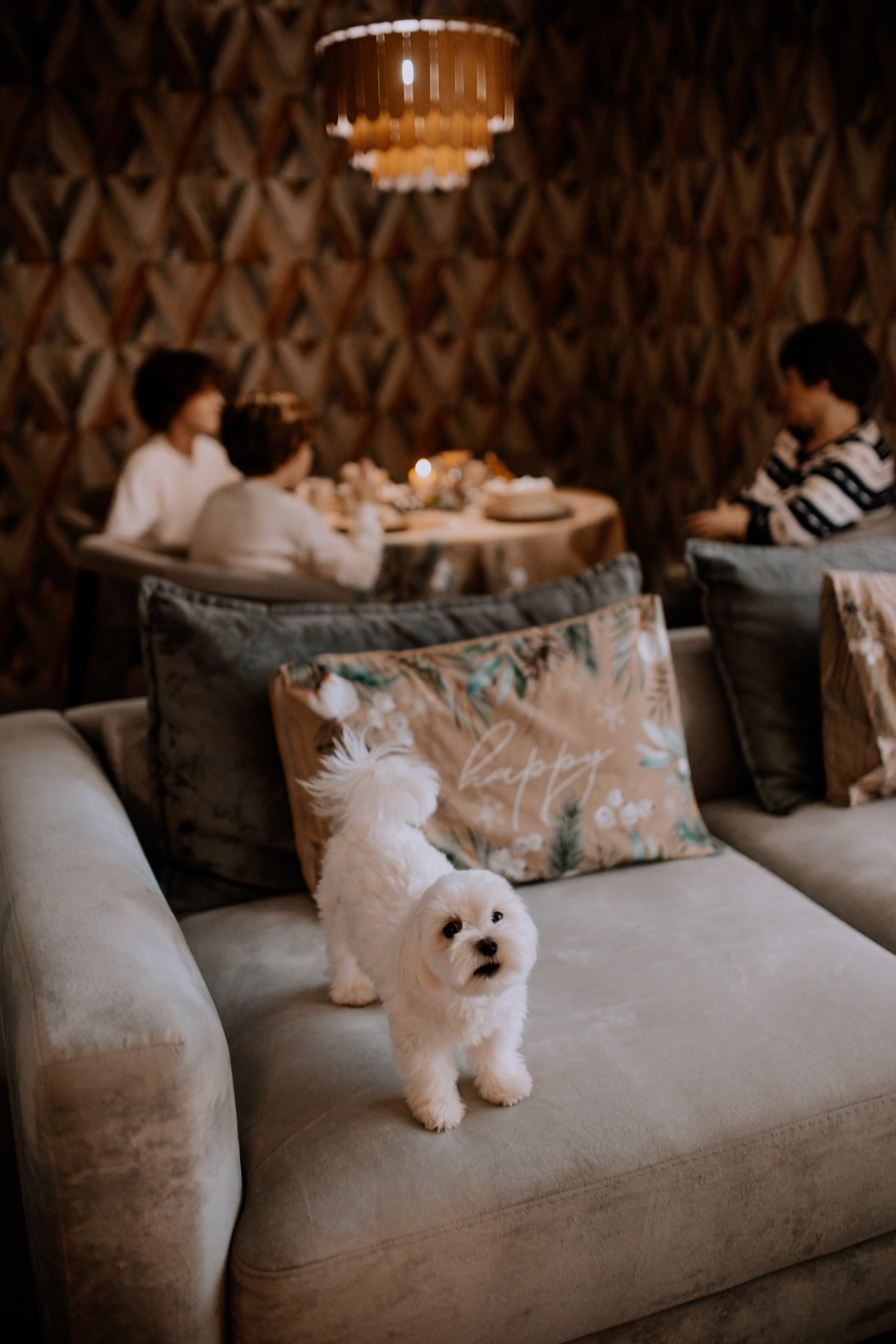 Уютный Новый год. Фотограф Шелудкова Яна, город Тюмень