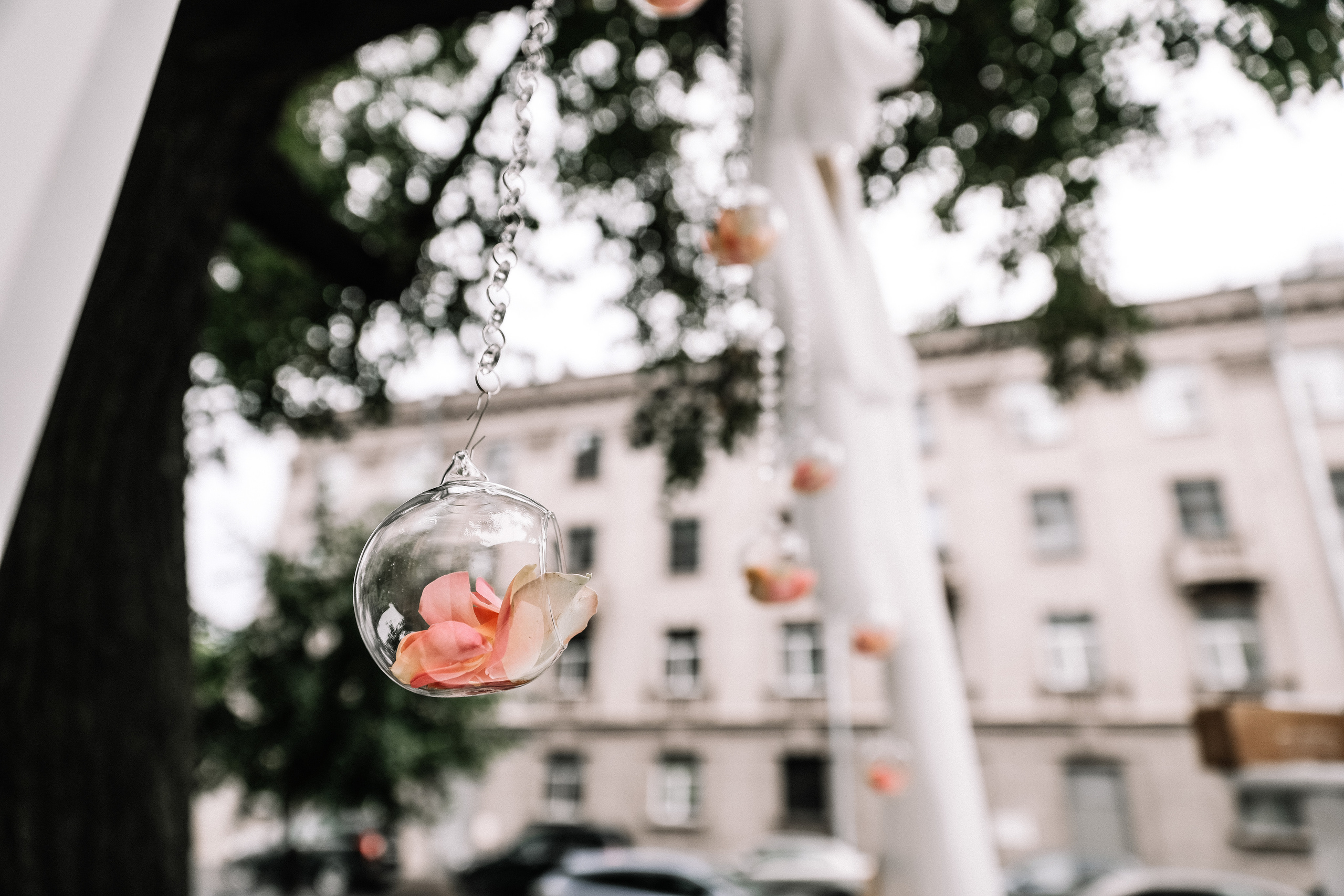 Марина и Саша. Свадебный и семейный Фотограф Денис Кошель