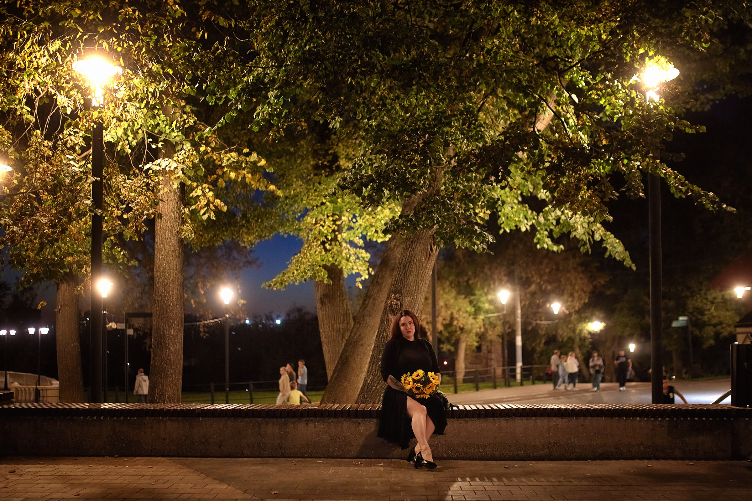 Сентябрьские подсолнухи. Фотограф Роман Желтухин