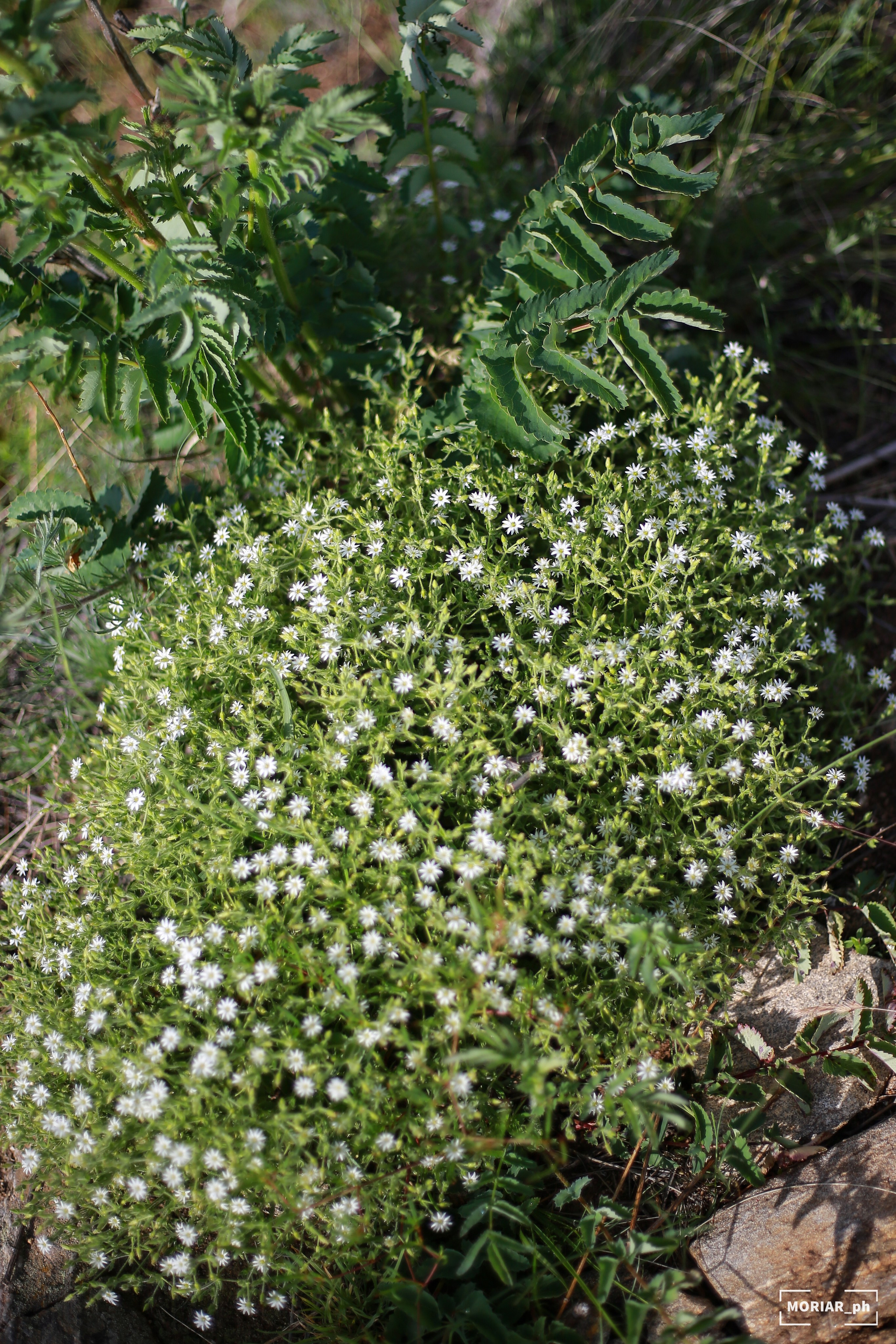 Отпуск. Портретный и репортажный фотограф в Кемерово Алексеева Анастасия