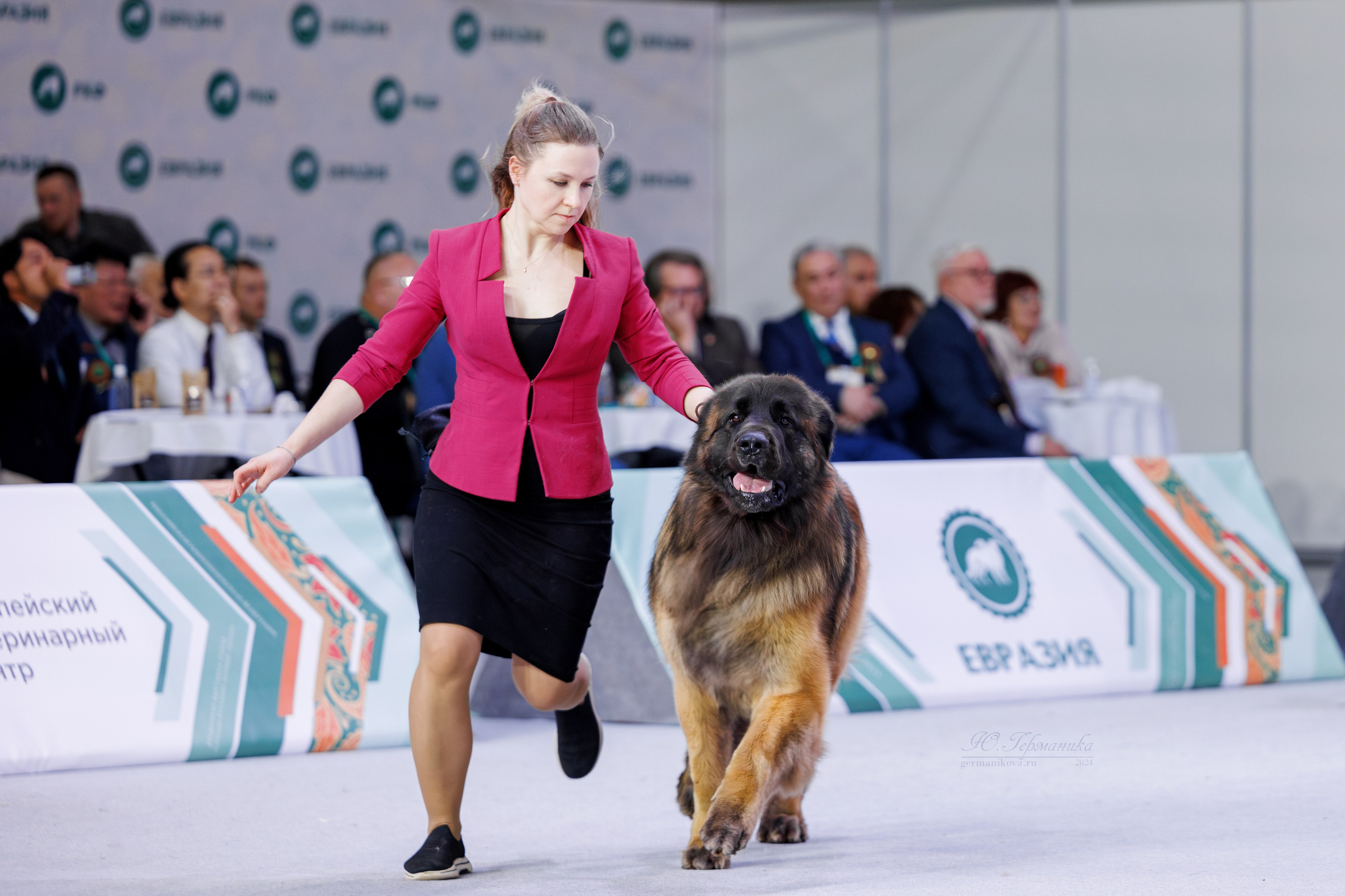 Евразия 16-17.11.2024. Фотограф-анималист Юлия Германика