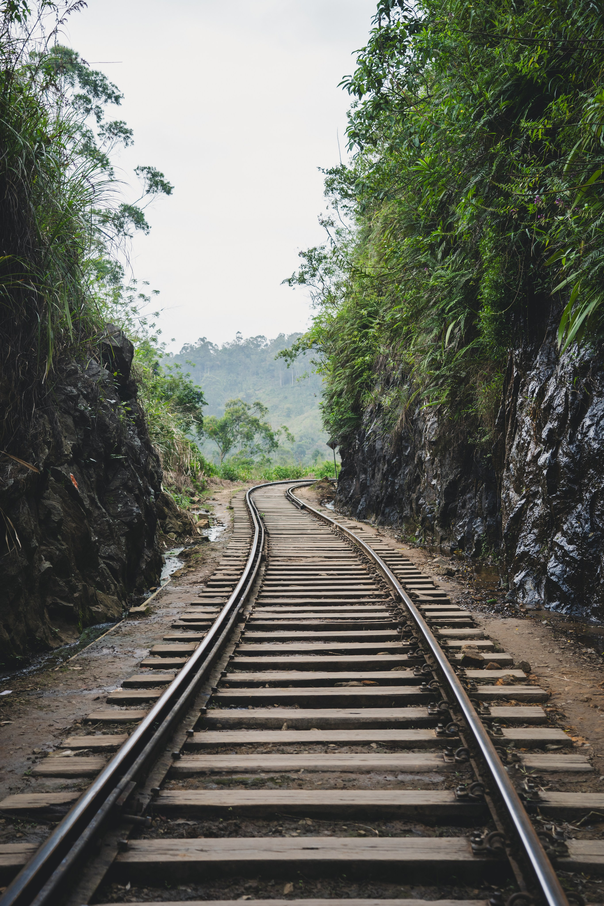 Шри-Ланка 2025. Легкая фотография