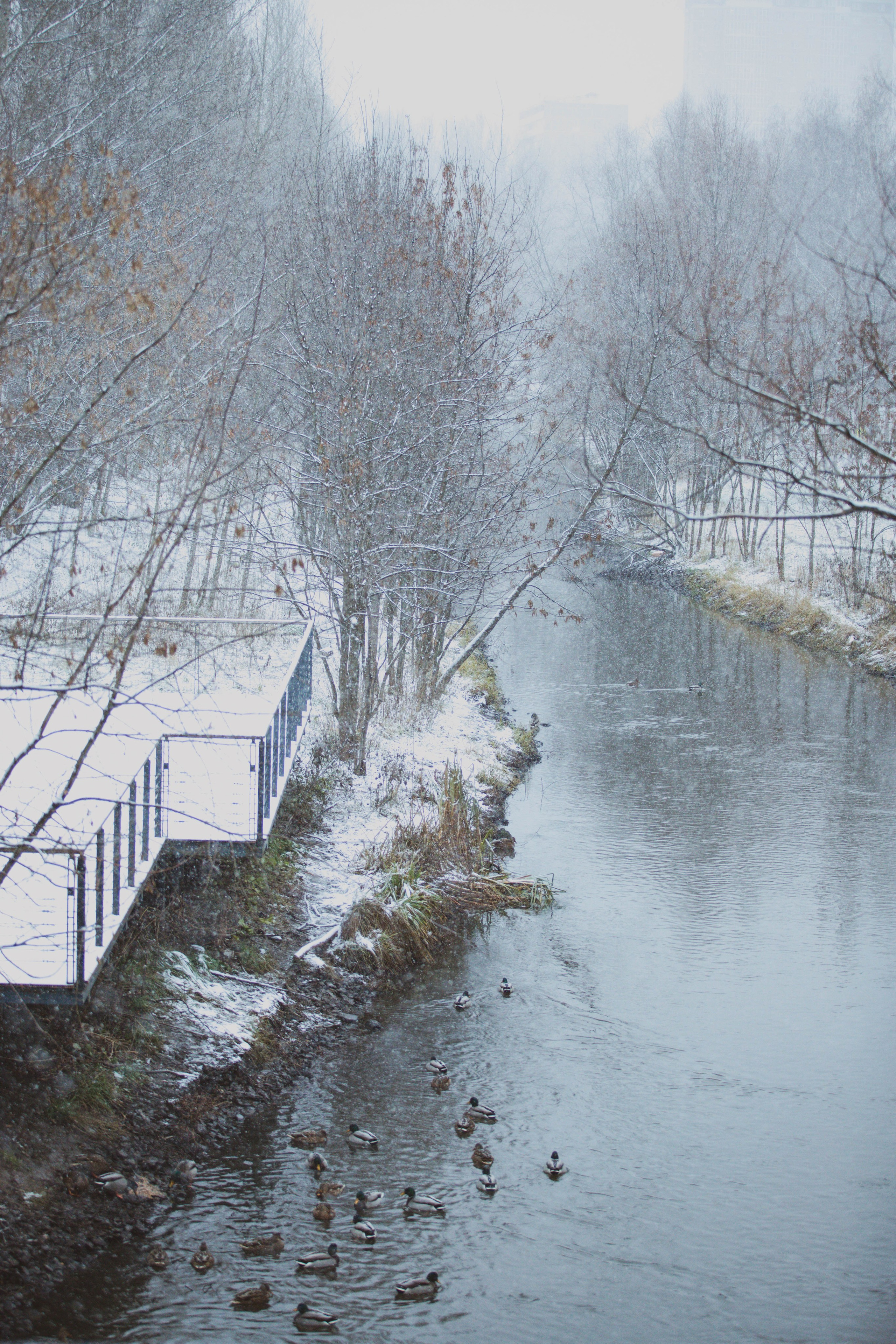 Снежные 5 Верст Бабушкинская. Александра Мельниченко/ Бегающий фотограф
