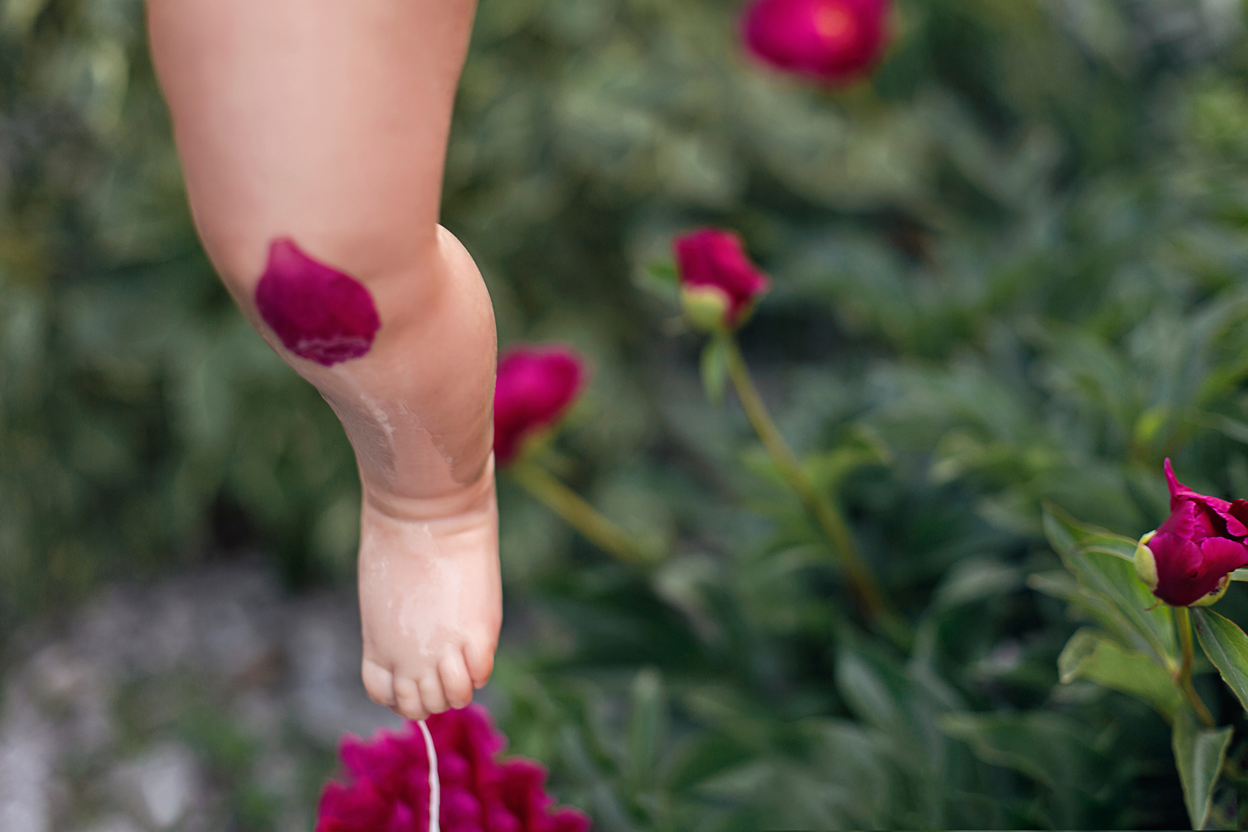 Малыши от 3 мес до 2 лет. Фотограф новорождённых и малышей до года в Томске, Светлана Торопова