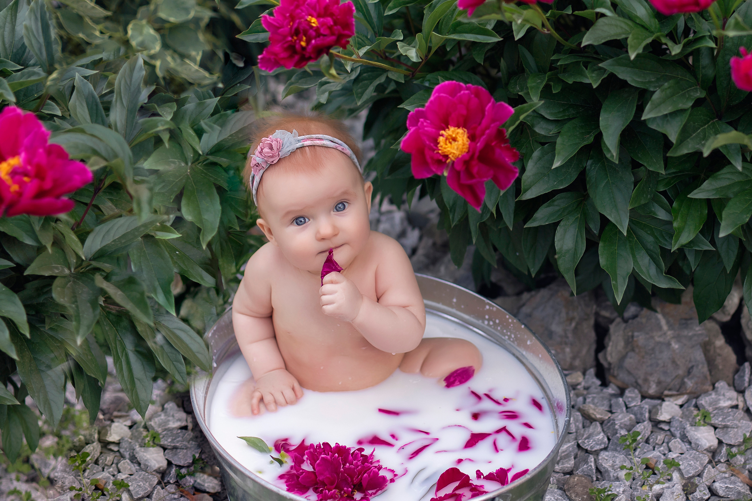 Малыши от 3 мес до 2 лет. Фотограф новорождённых и малышей до года в Томске, Светлана Торопова