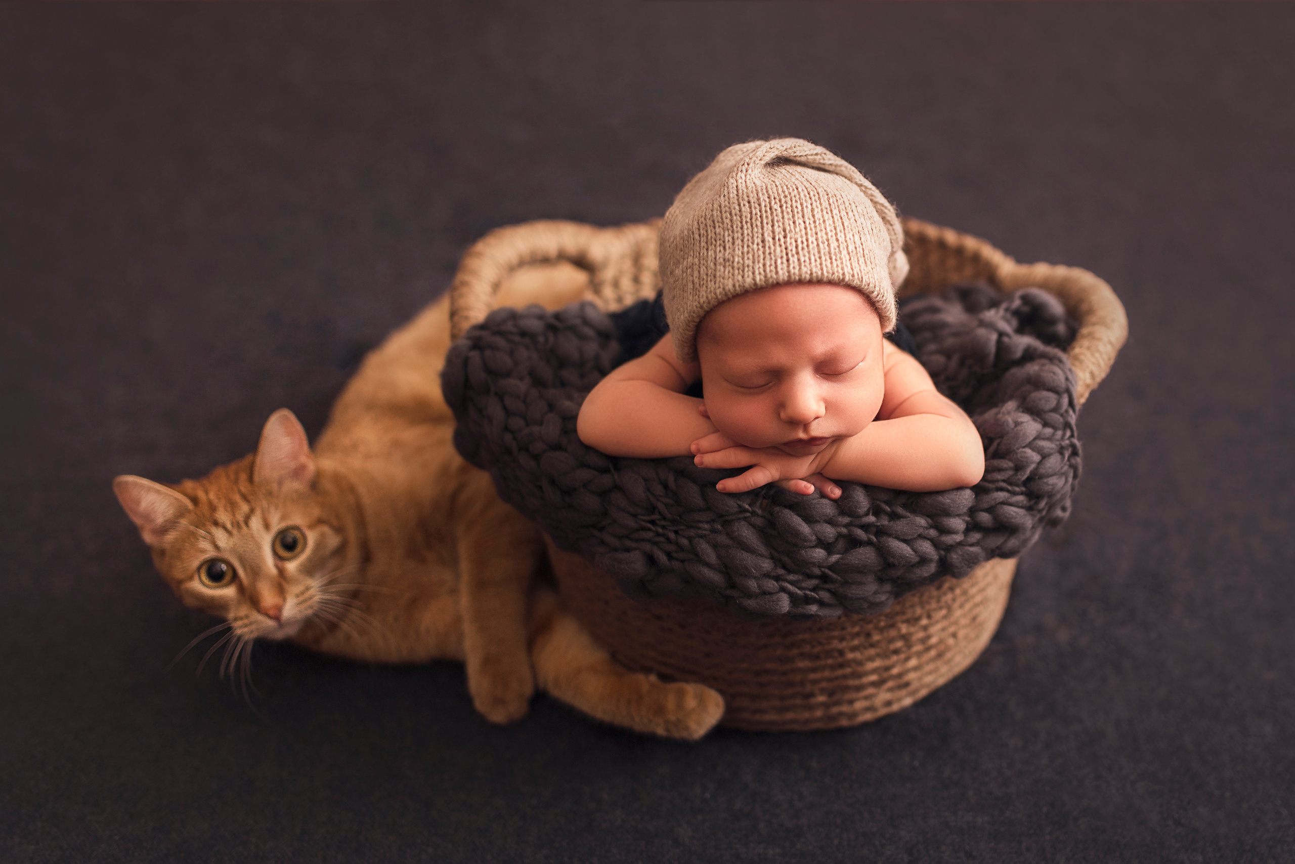 Новорожденные. Фотограф новорождённых и малышей до года в Томске, Светлана Торопова
