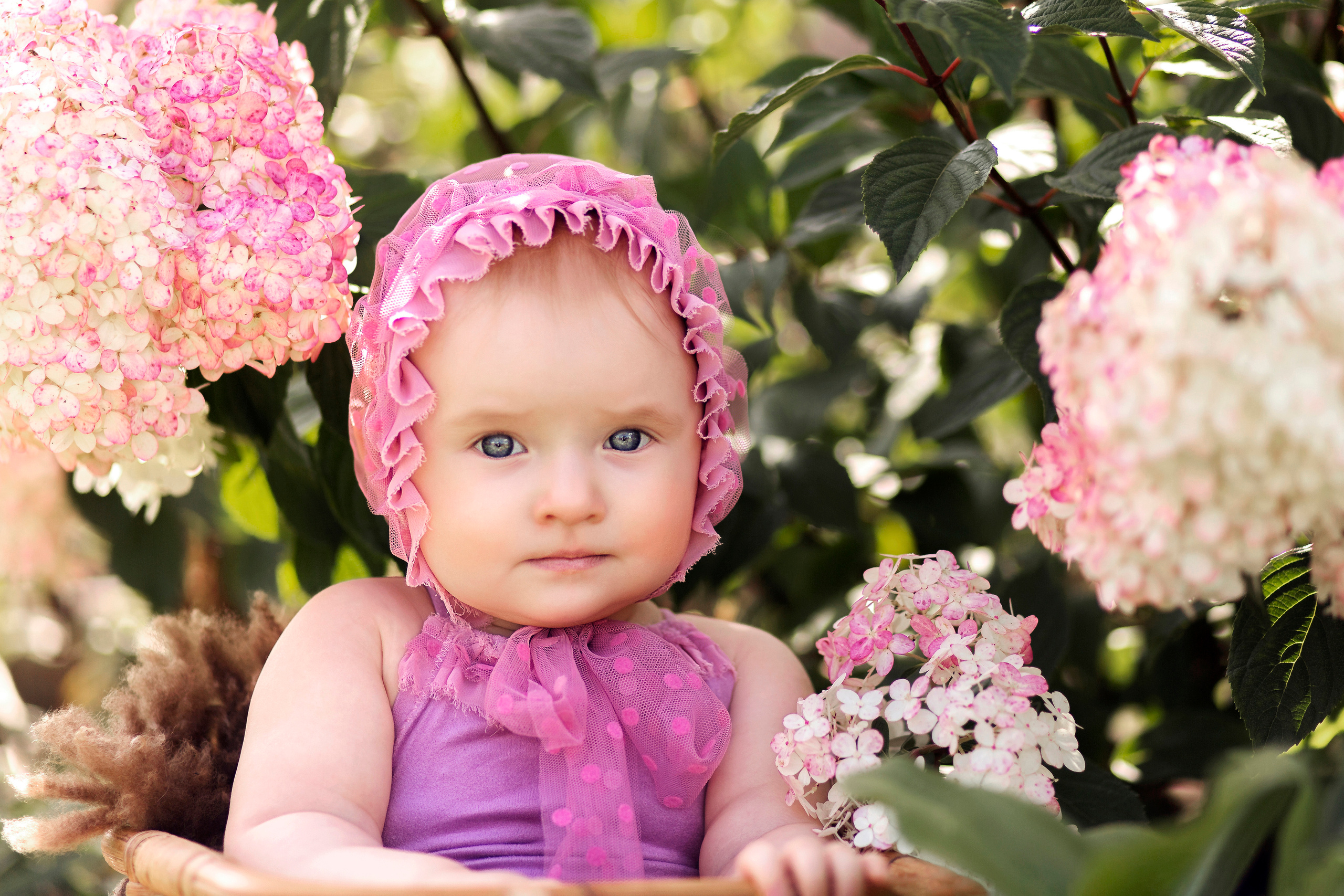Малыши от 3 мес до 2 лет. Фотограф новорождённых и малышей до года в Томске, Светлана Торопова
