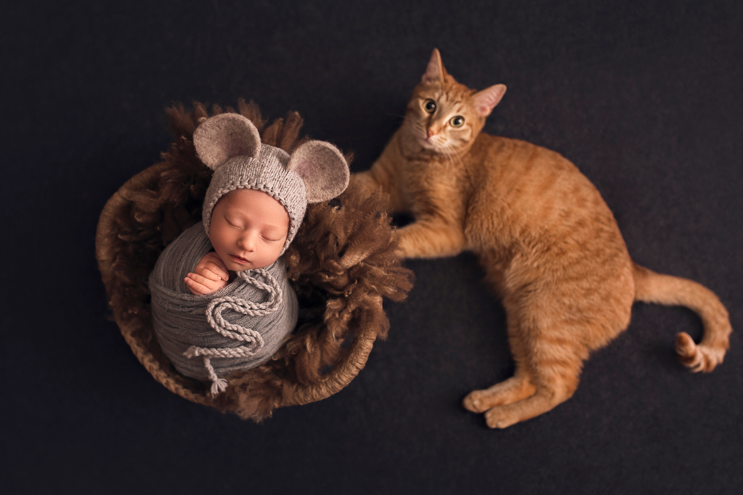 Новорожденные. Фотограф новорождённых и малышей до года в Томске, Светлана Торопова