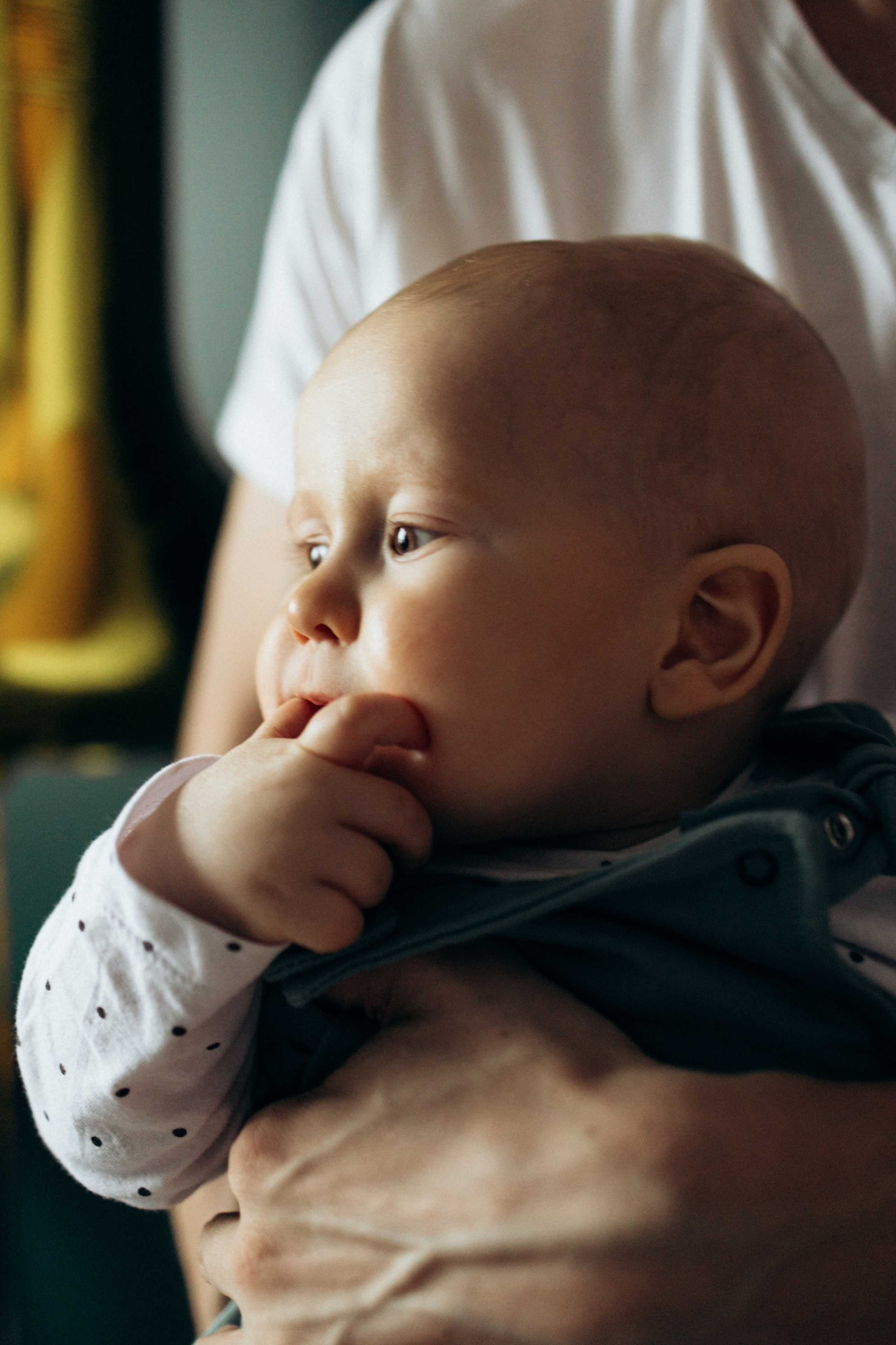 1 годик. Фотограф Валерия Ковпак. Москва. Химки. Куркино