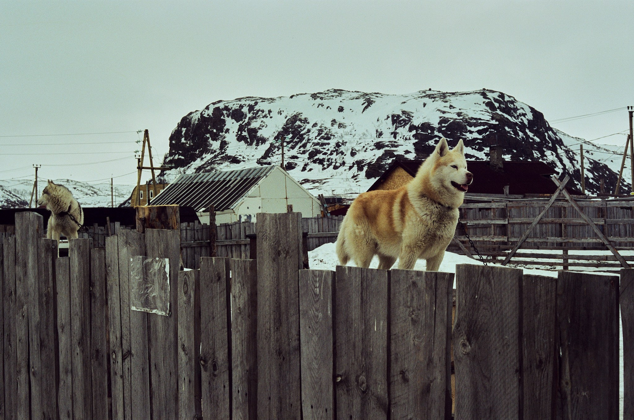 Teriberka (Murmansk)