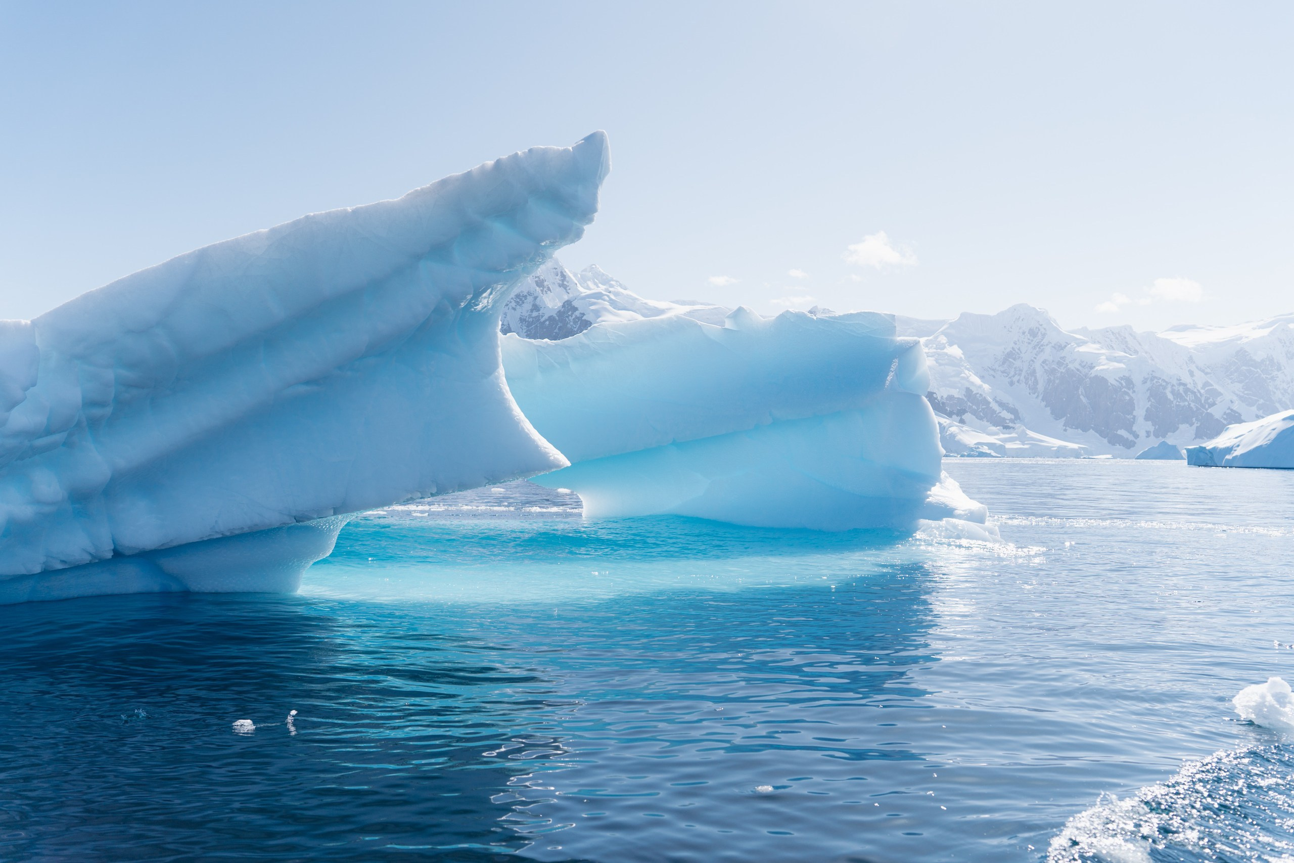 События / events. Медийный светский репортажный фотограф