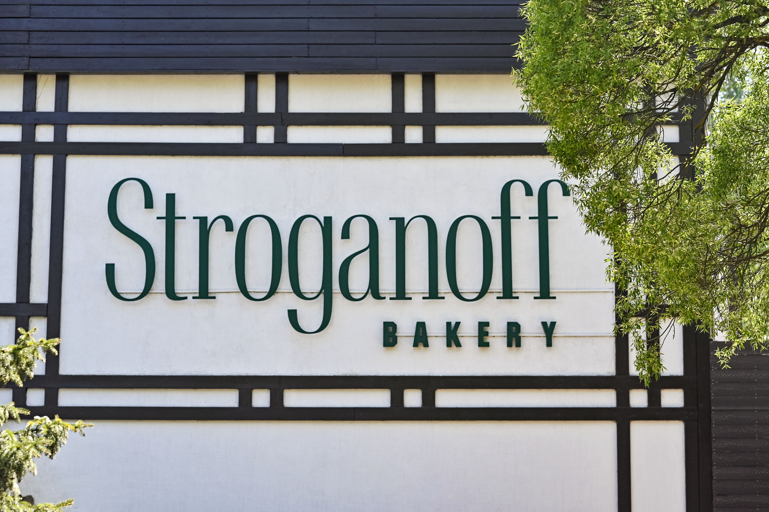 . ZDARONOKIA Репортажный фотограф