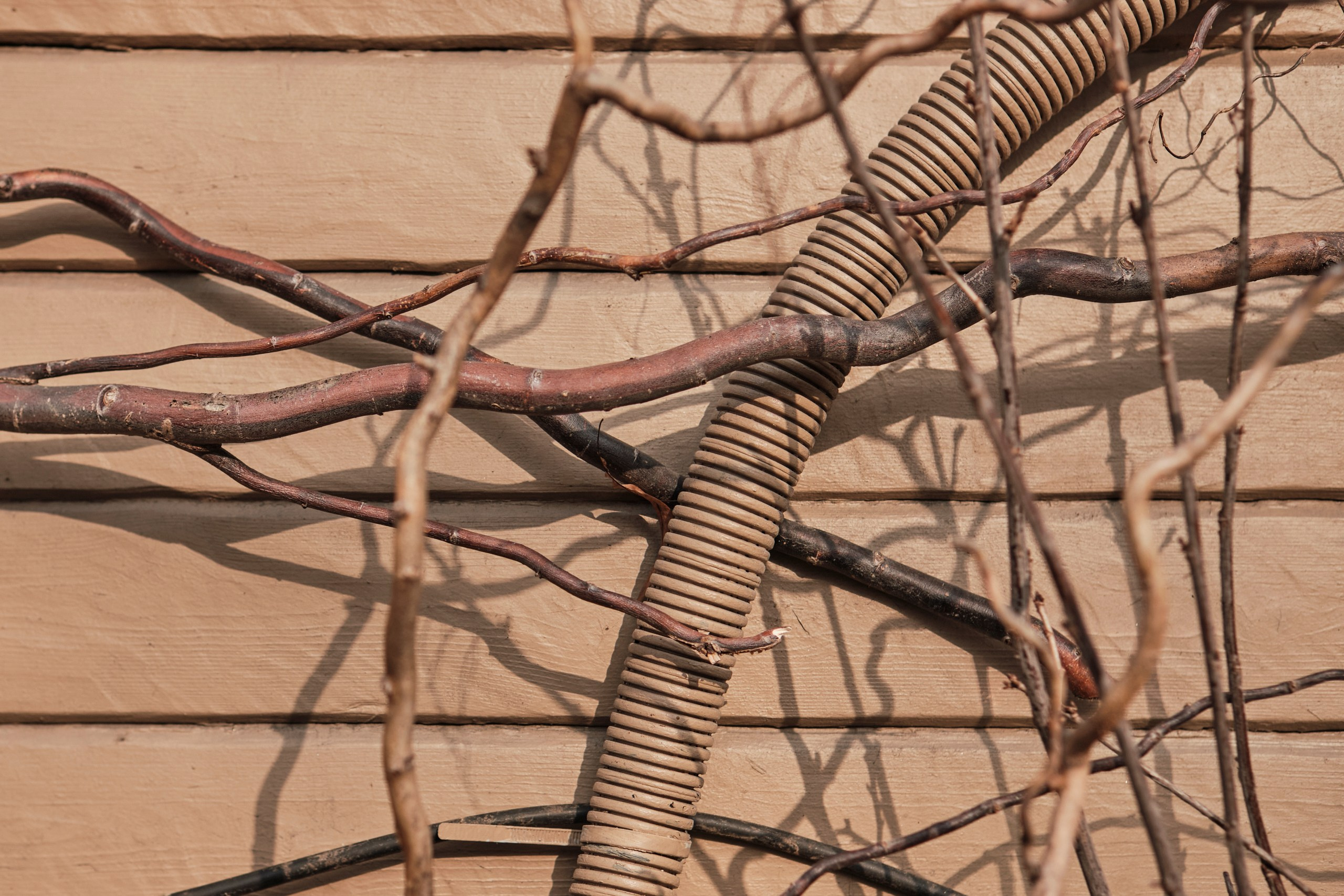 Мартовский Выборг. Фотограф Даниил Богомолов, Санкт-Петербург