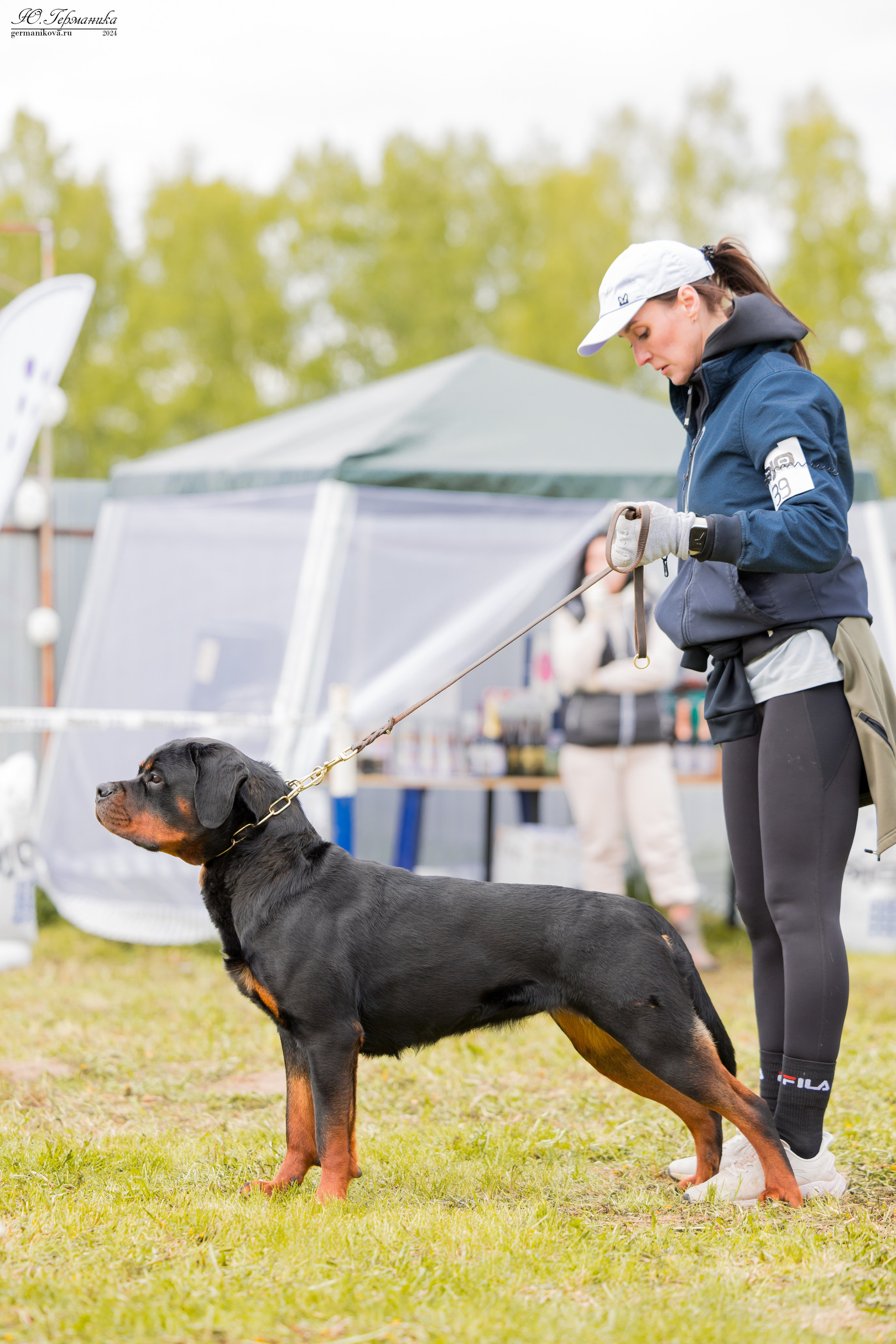 Нижний Новгород 11-12.05.2024 моно ротвейлеров. Фотограф-анималист Юлия Германика