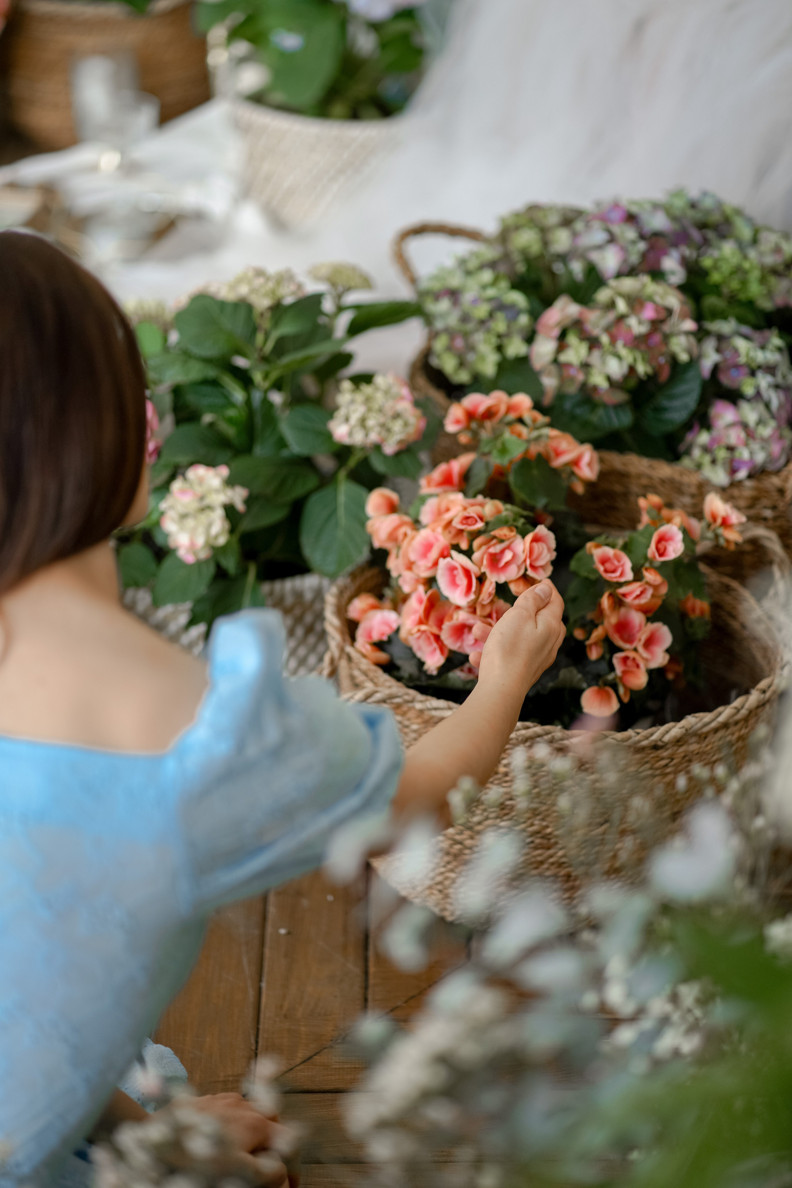 В ароматах гортензий. Фотограф Татьяна Митрофанова