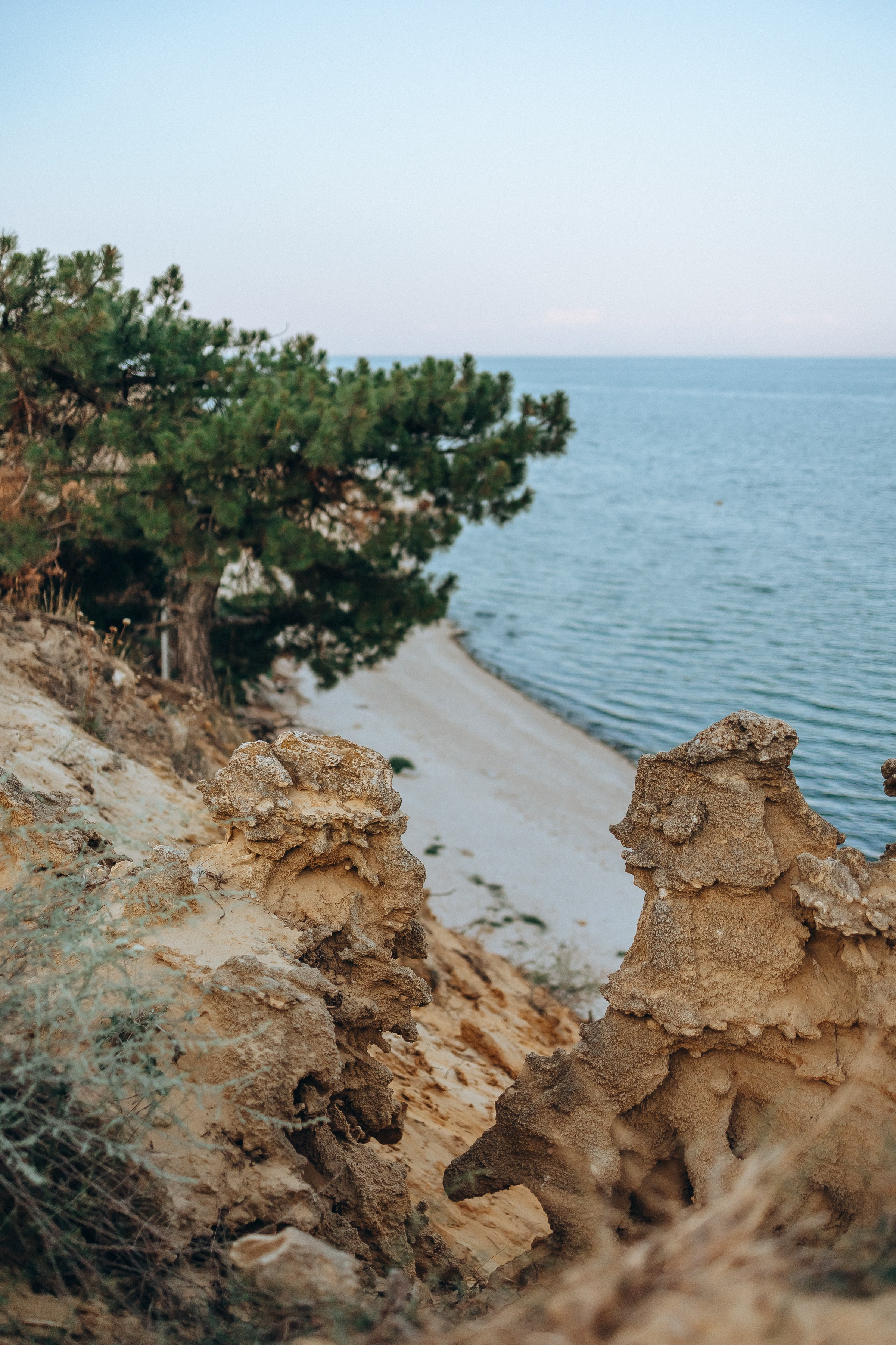 Семейная фотосессия. Семейный фотограф в Волгодонске Краченцева Анна