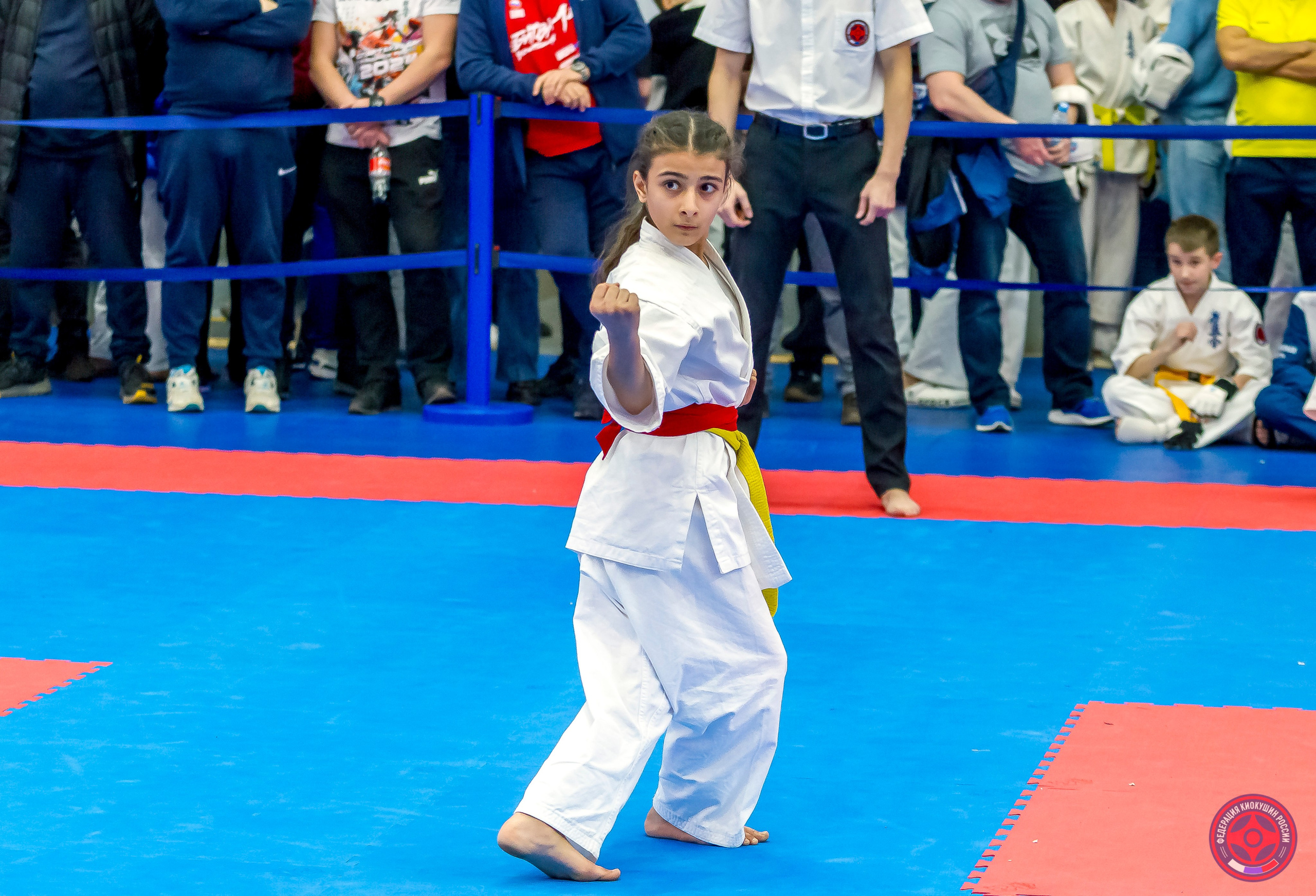 Международный турнир по киокушин «Открытый кубок Seiken». Репортажная съемка в Москве и области. Анималистика