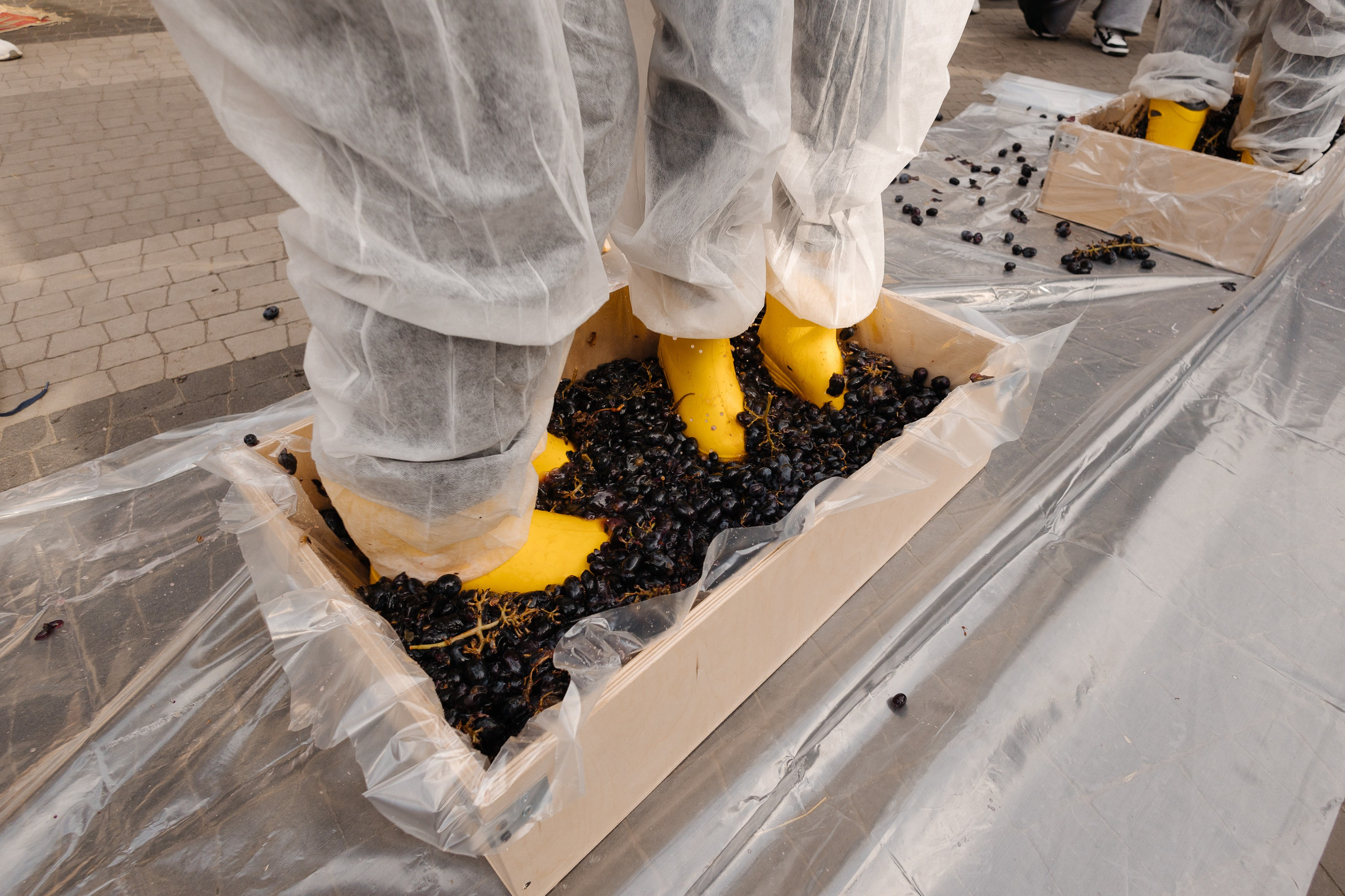 Праздник молодого вина Ртвели. Портретный и репортажный фотограф в Казани Максим Сипачев