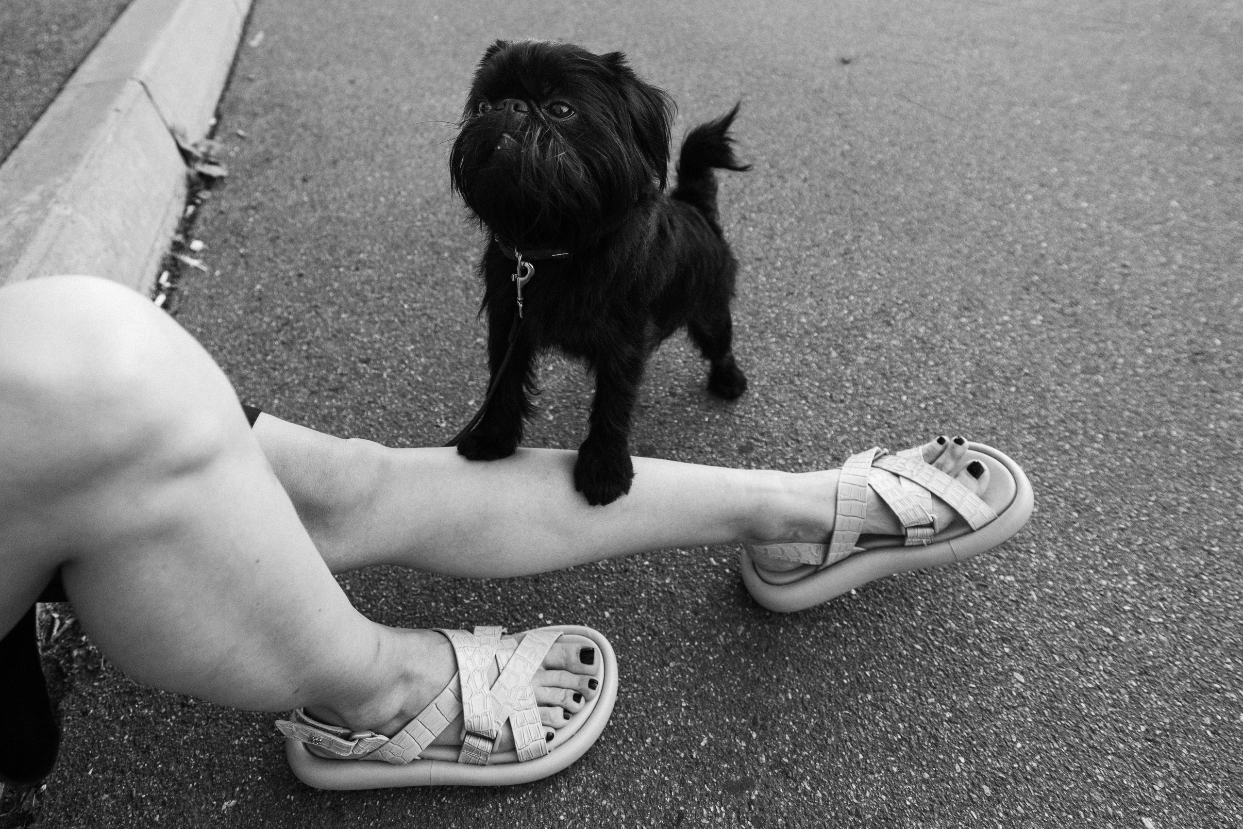 Ася и Кузя. Фотограф анималист Осипчикова Мария