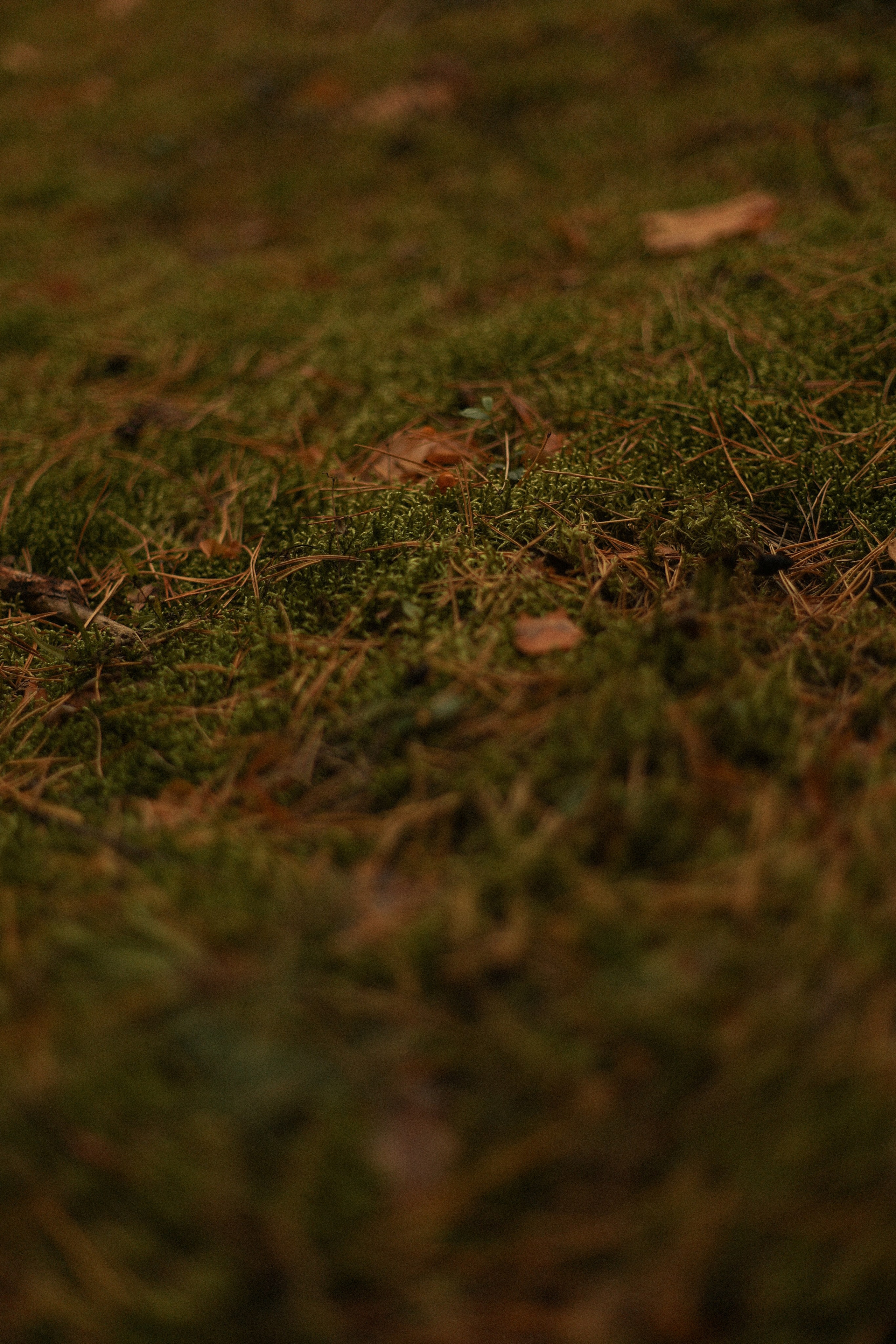 Наша первая история. Фотограф — Ольга Косолюкина