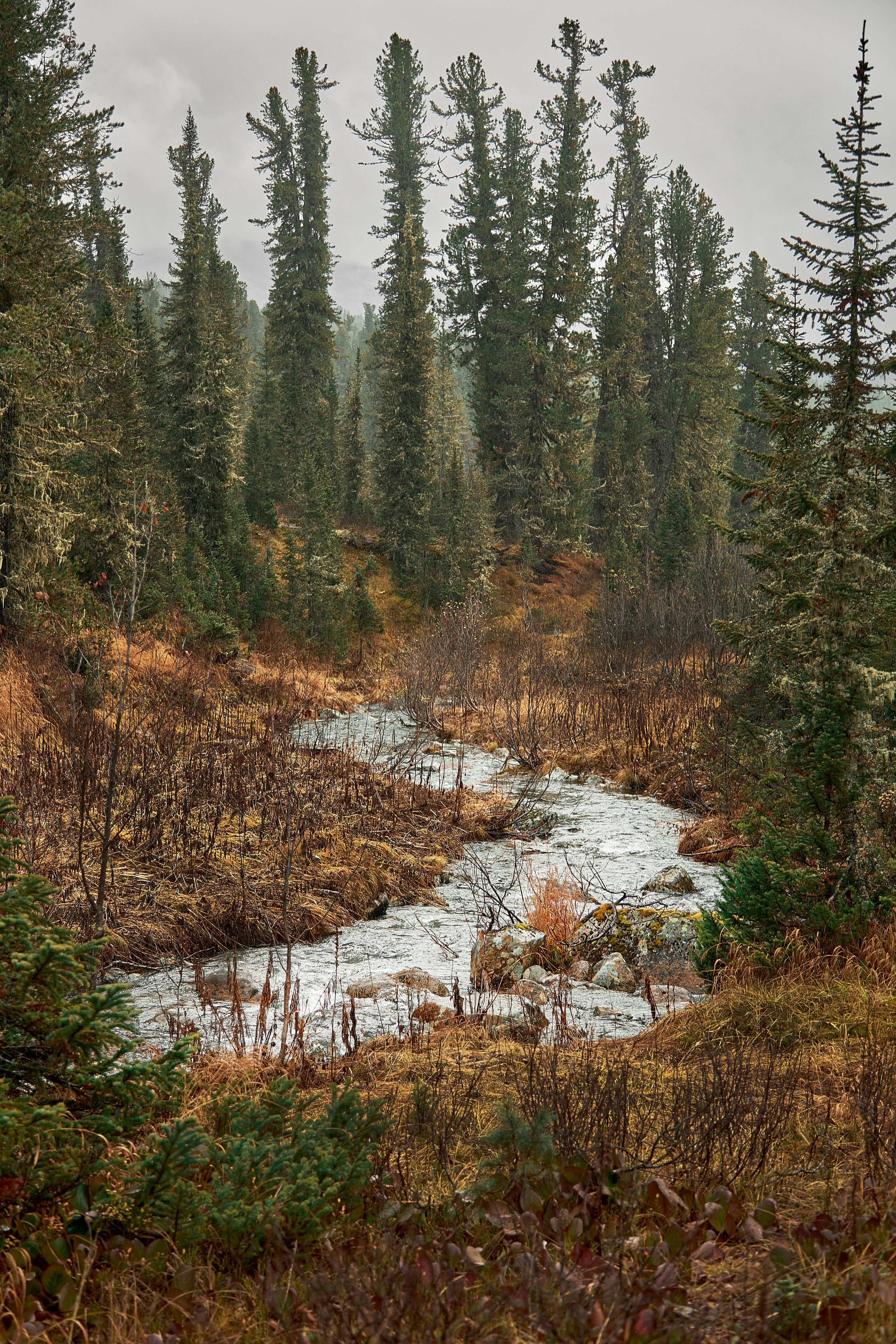 Природа. Фотограф ваших событий в Красноярске — Макс Захарченко
