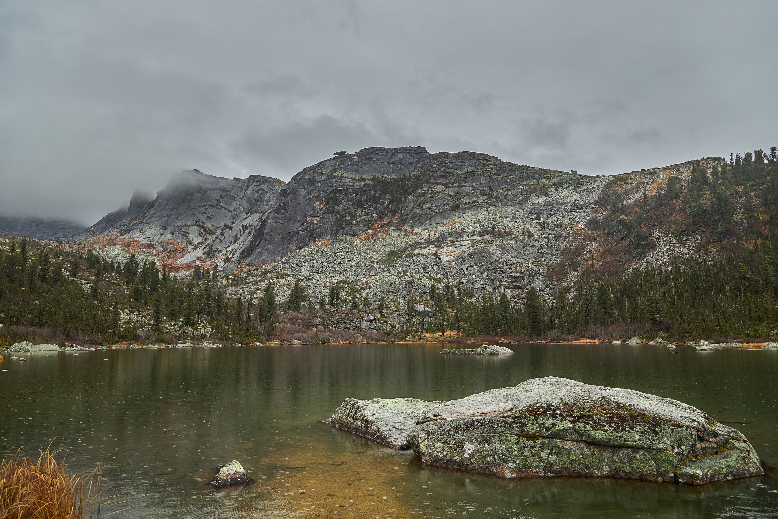 Природа. Фотограф ваших событий в Красноярске — Макс Захарченко