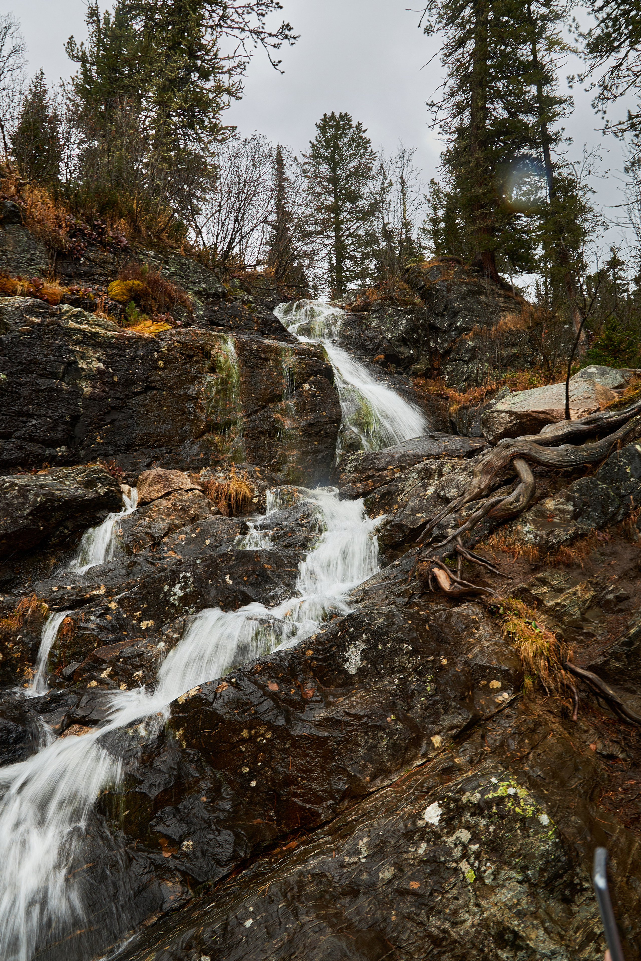 Природа. Фотограф ваших событий в Красноярске — Макс Захарченко