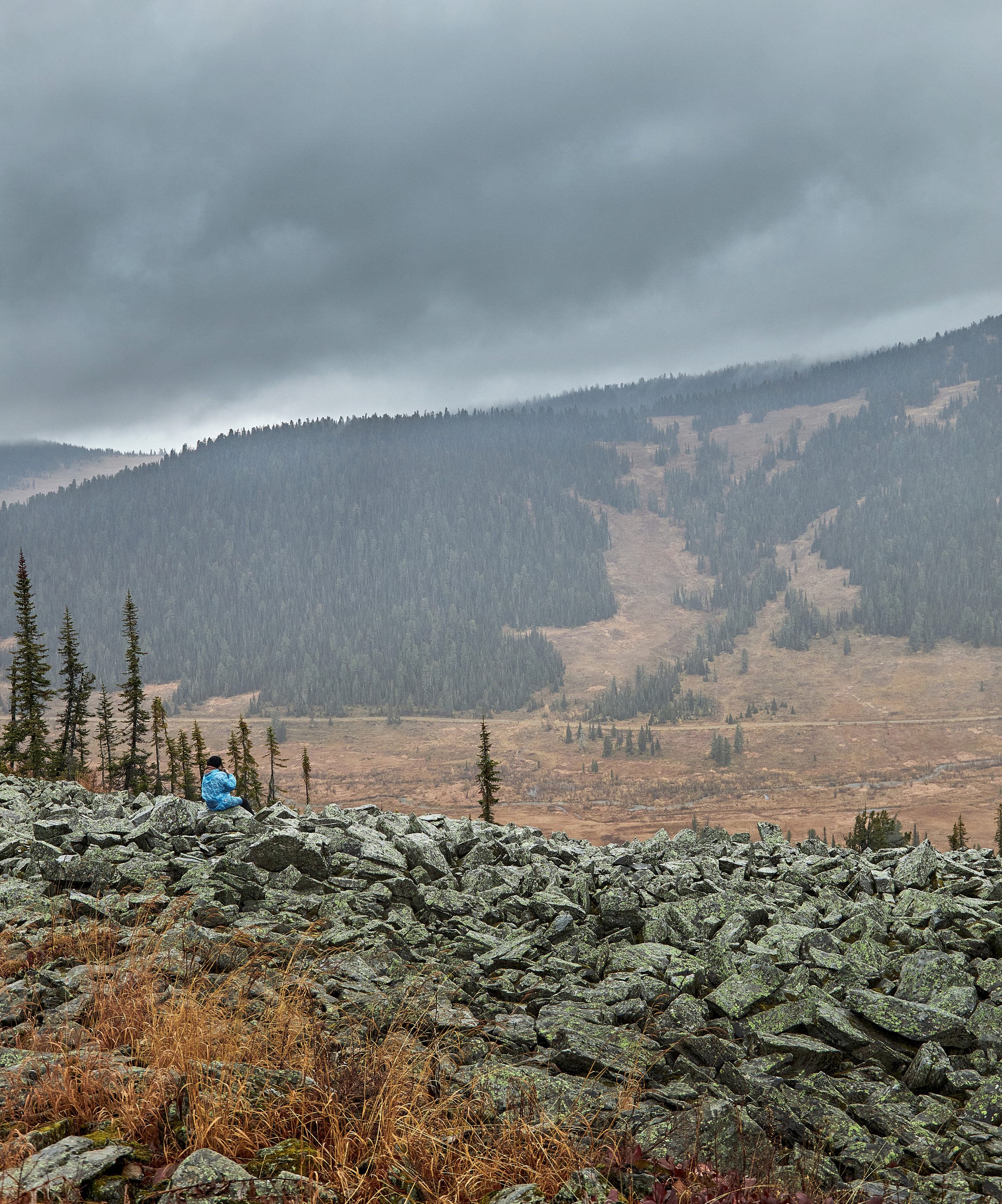 Природа. Фотограф ваших событий в Красноярске — Макс Захарченко
