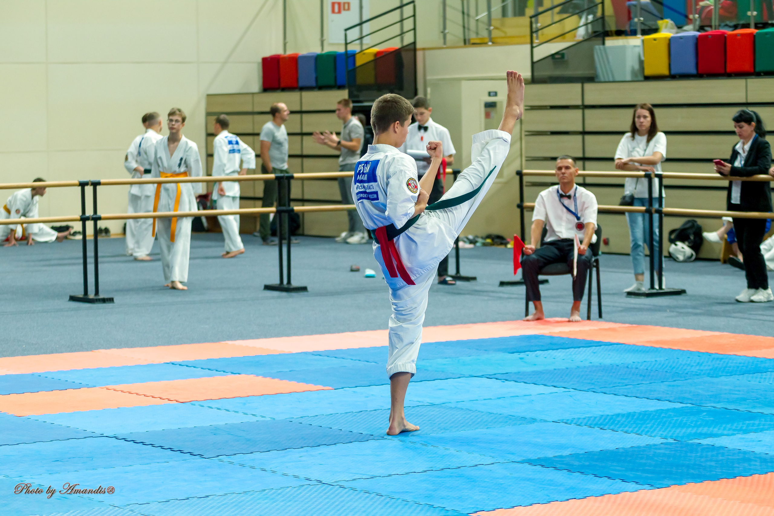 Первенство Московской области по Киокушин в СК «Жаворонки». Репортажная съемка в Москве и области. Анималистика