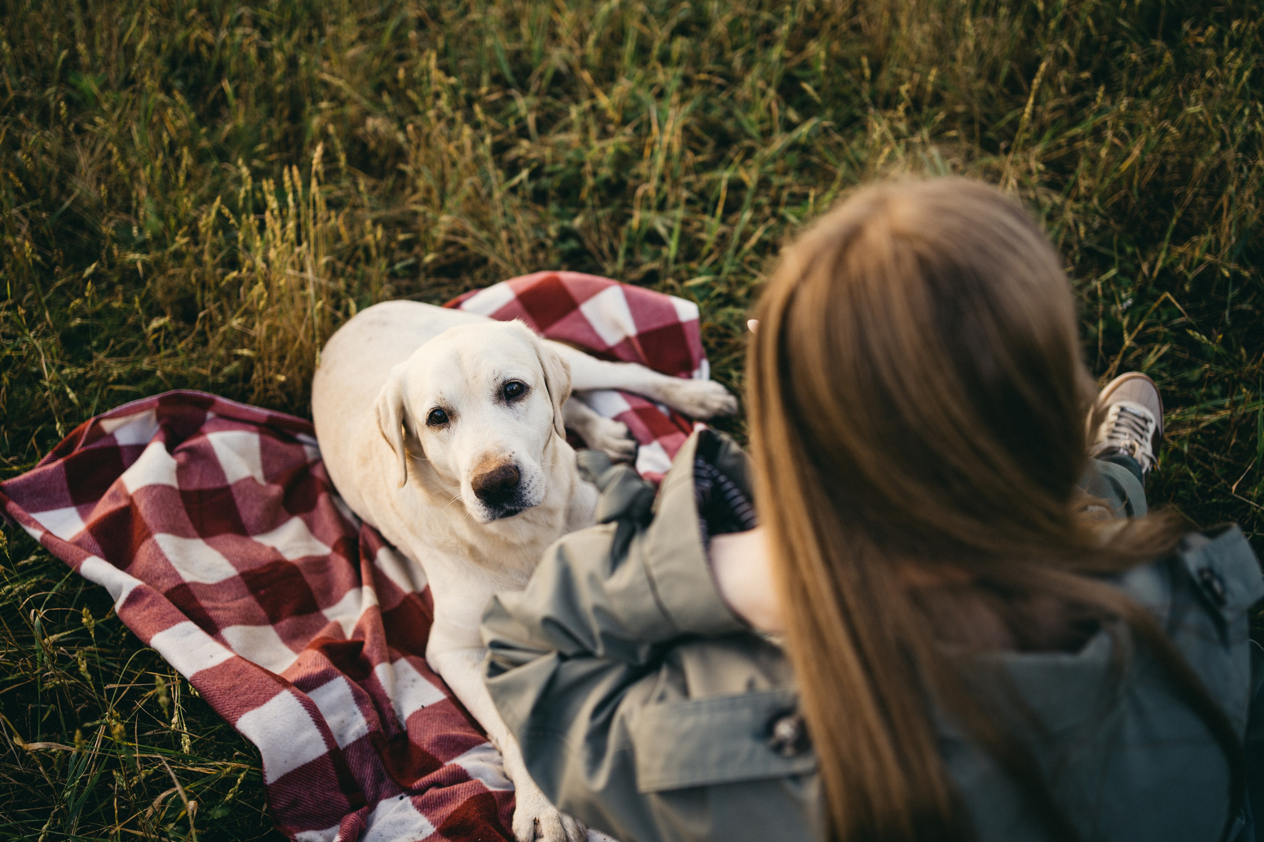 Дана и Арчи. Фотограф-анималист Анастасия Большакова