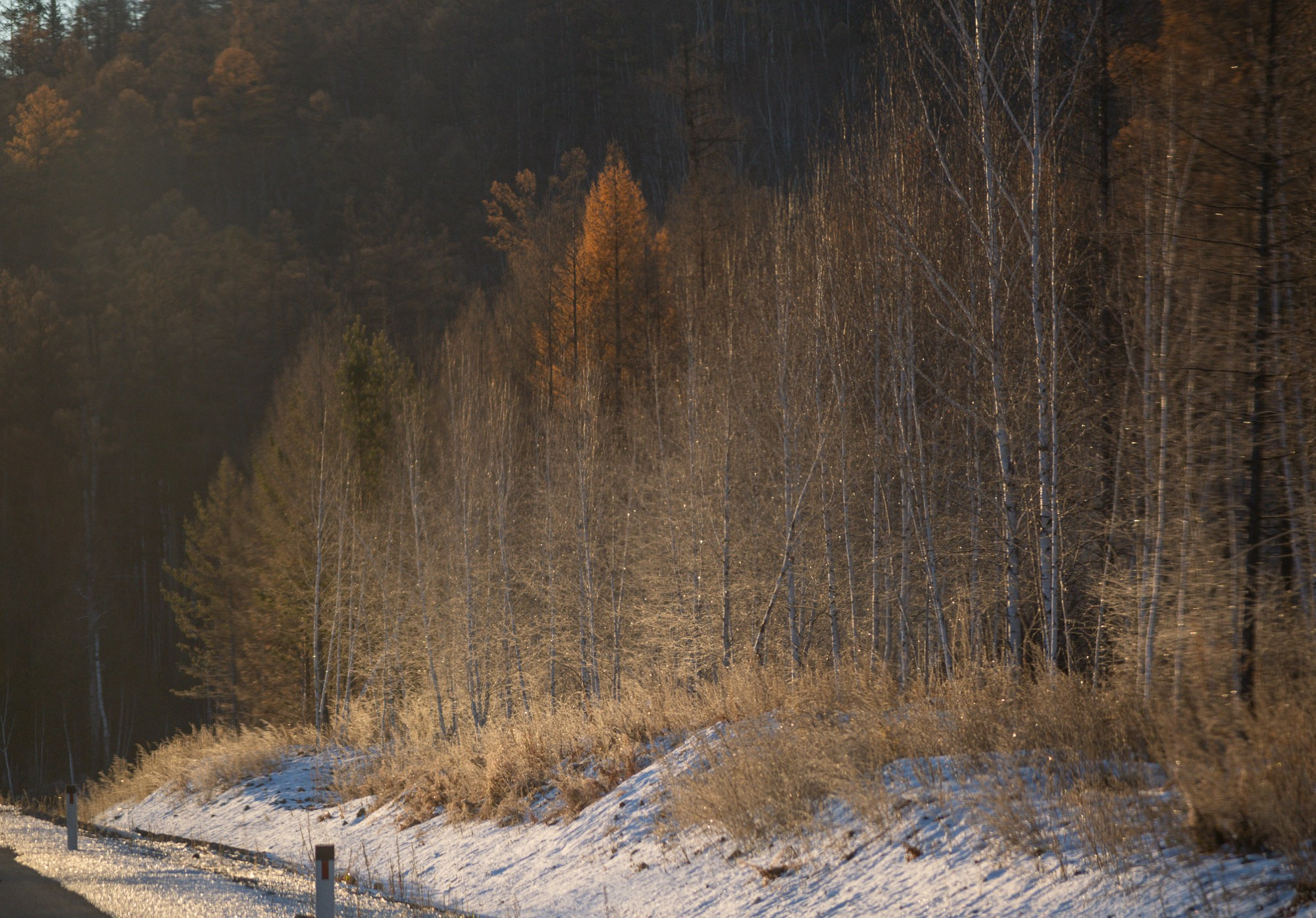 Разное. Репортажный фотограф г. Чита