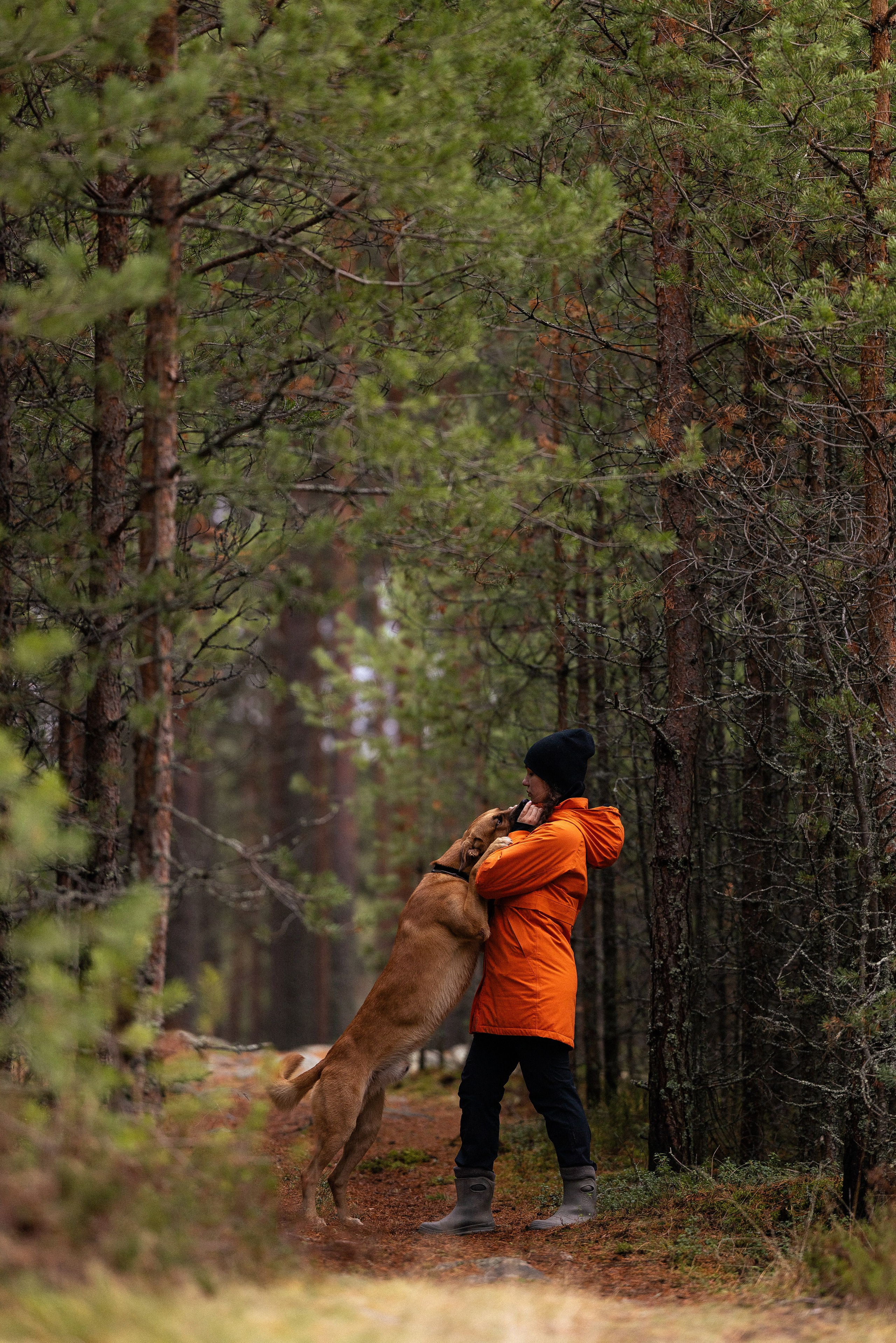 Karelia. Фотограф и видеограф анималист Аганина Дарья